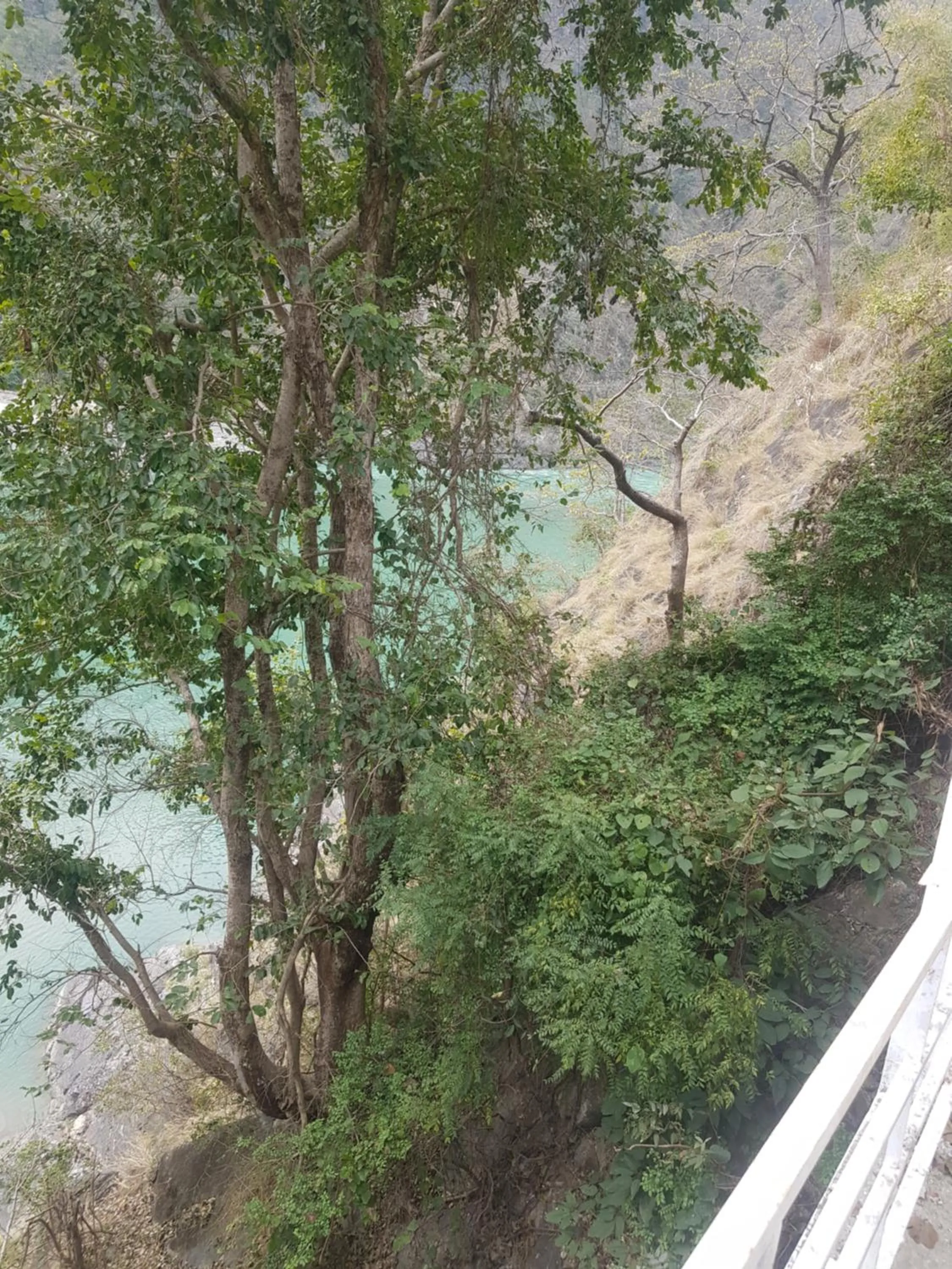 Natural landscape in Samira's Birds & Butterflies Park-Spashram Ganga Beach Retreat