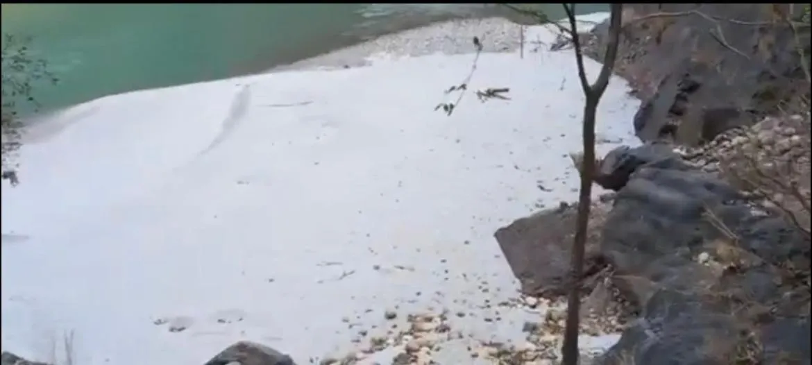 Samira's Birds & Butterflies Park-Spashram Ganga Beach Retreat