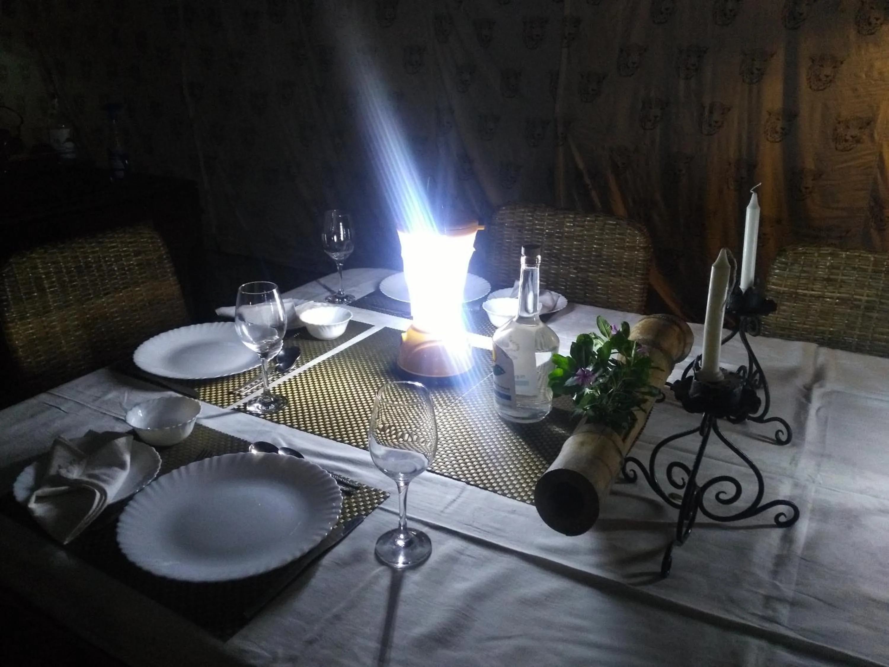 Dinner in Samira's Birds & Butterflies Park-Spashram Ganga Beach Retreat