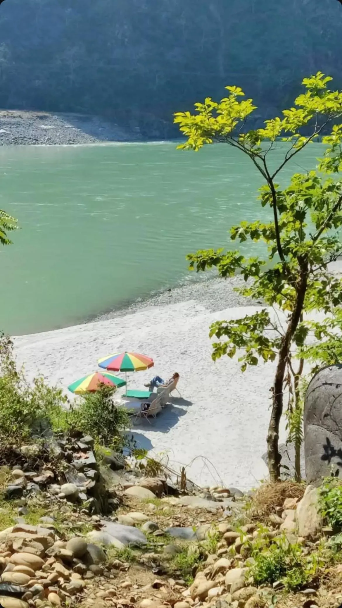 Samira's Birds & Butterflies Park-Spashram Ganga Beach Retreat