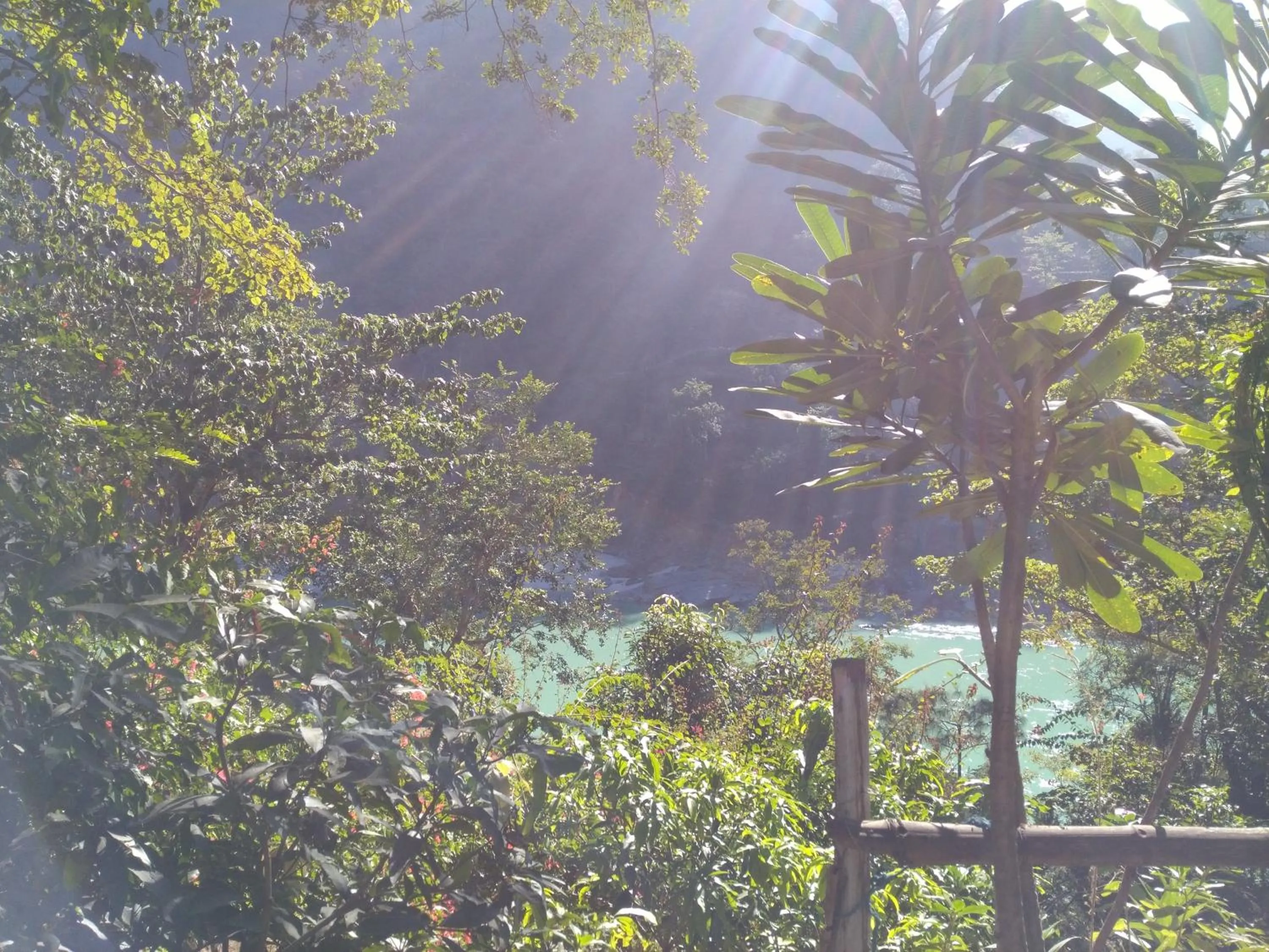 Natural landscape in Samira's Birds & Butterflies Park-Spashram Ganga Beach Retreat