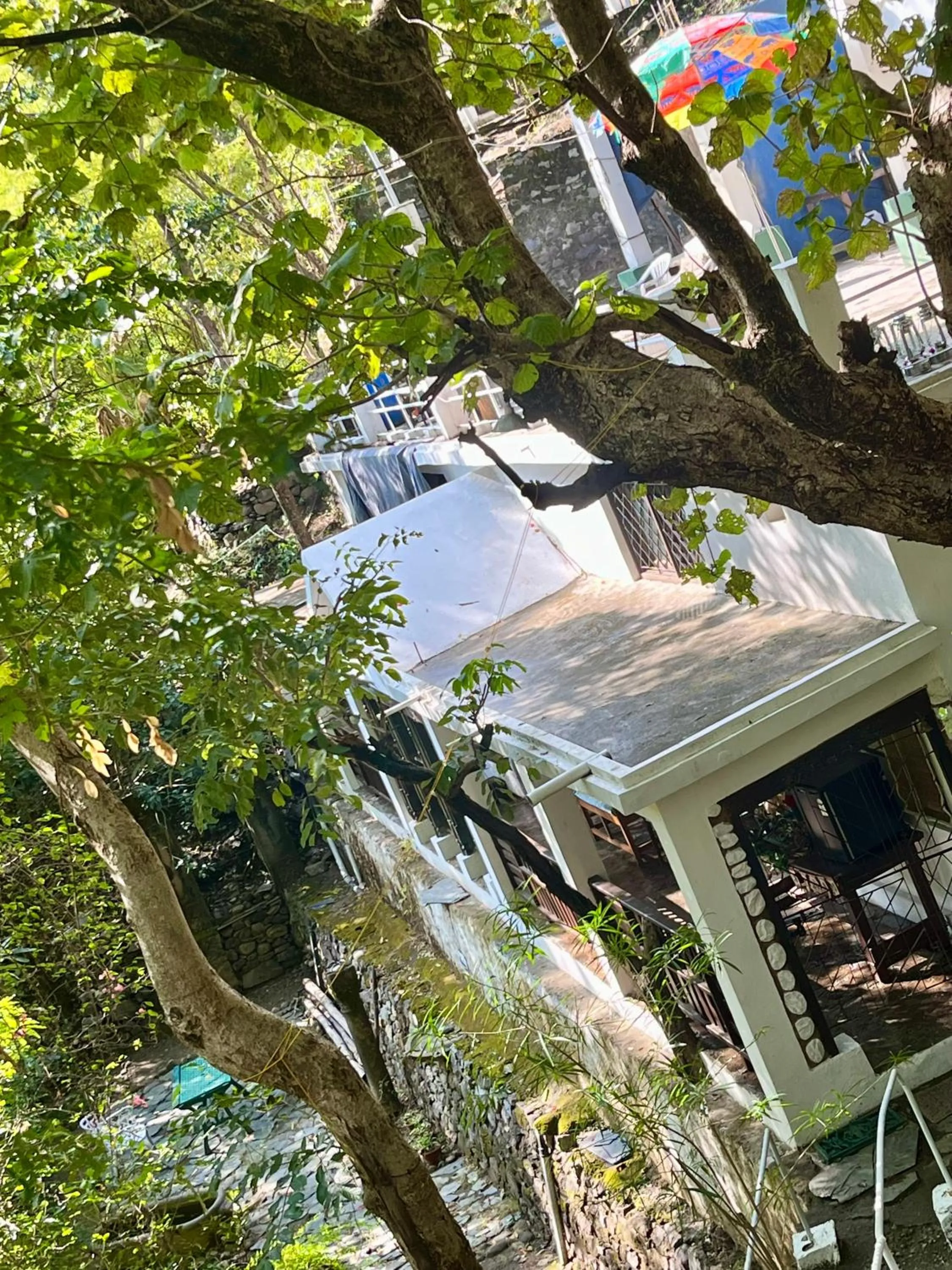 Samira's Birds & Butterflies Park-Spashram Ganga Beach Retreat