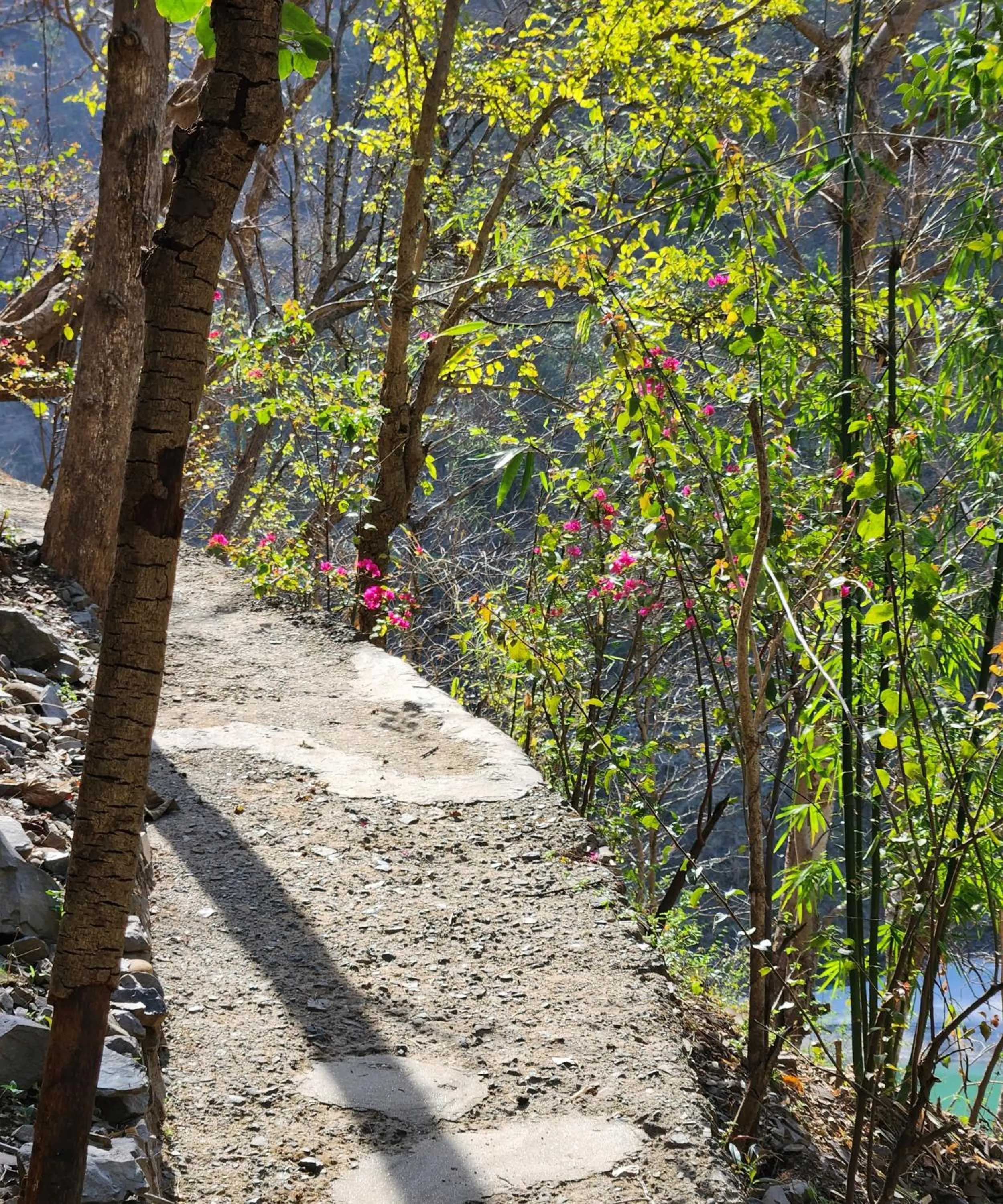 Samira's Birds & Butterflies Park-Spashram Ganga Beach Retreat