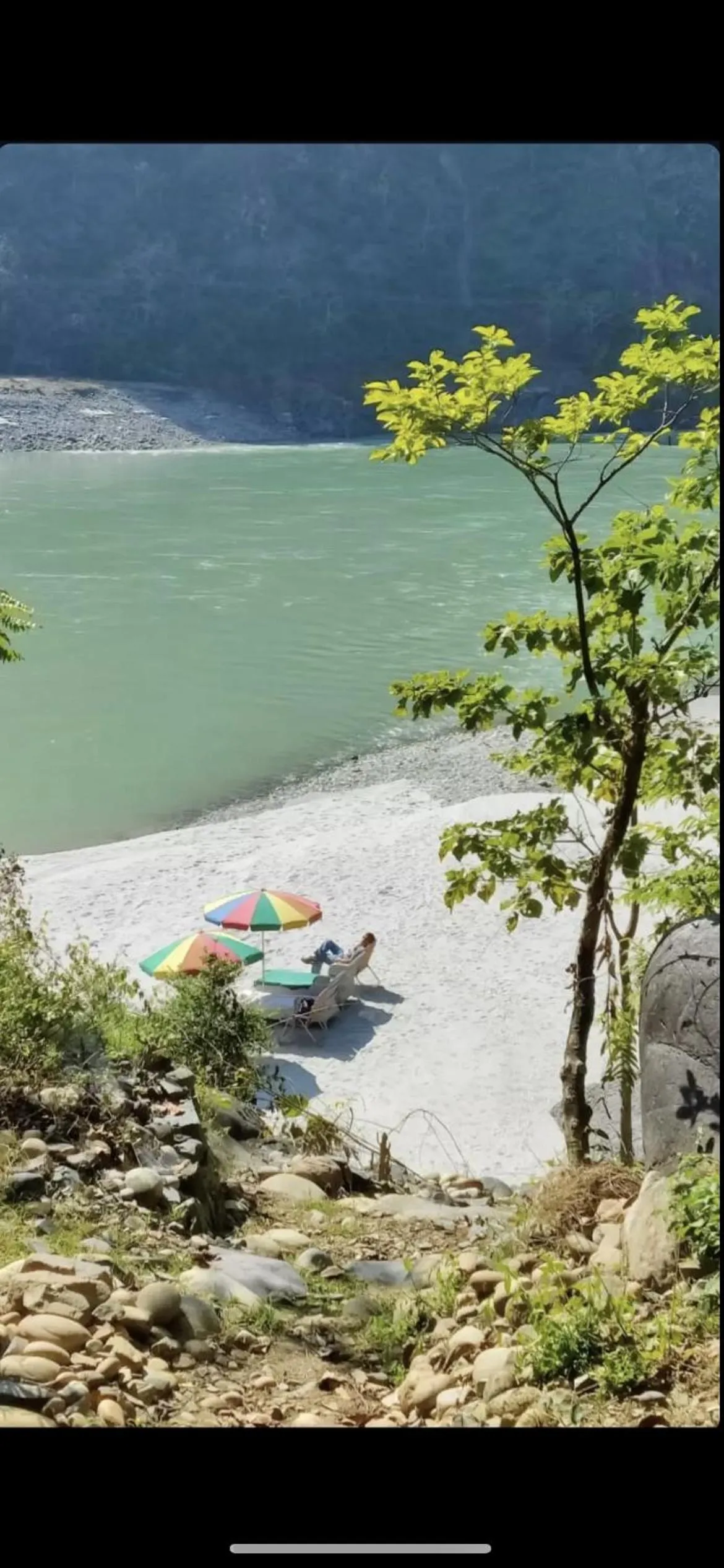 Samira's Birds & Butterflies Park-Spashram Ganga Beach Retreat