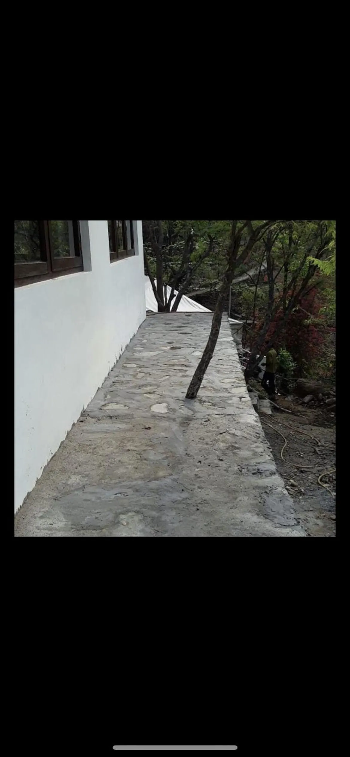 Samira's Birds & Butterflies Park-Spashram Ganga Beach Retreat