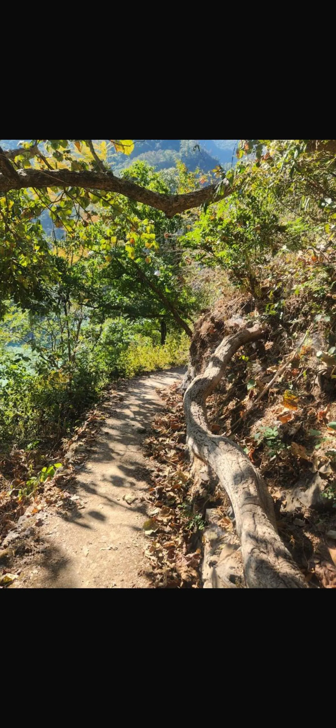 Samira's Birds & Butterflies Park-Spashram Ganga Beach Retreat