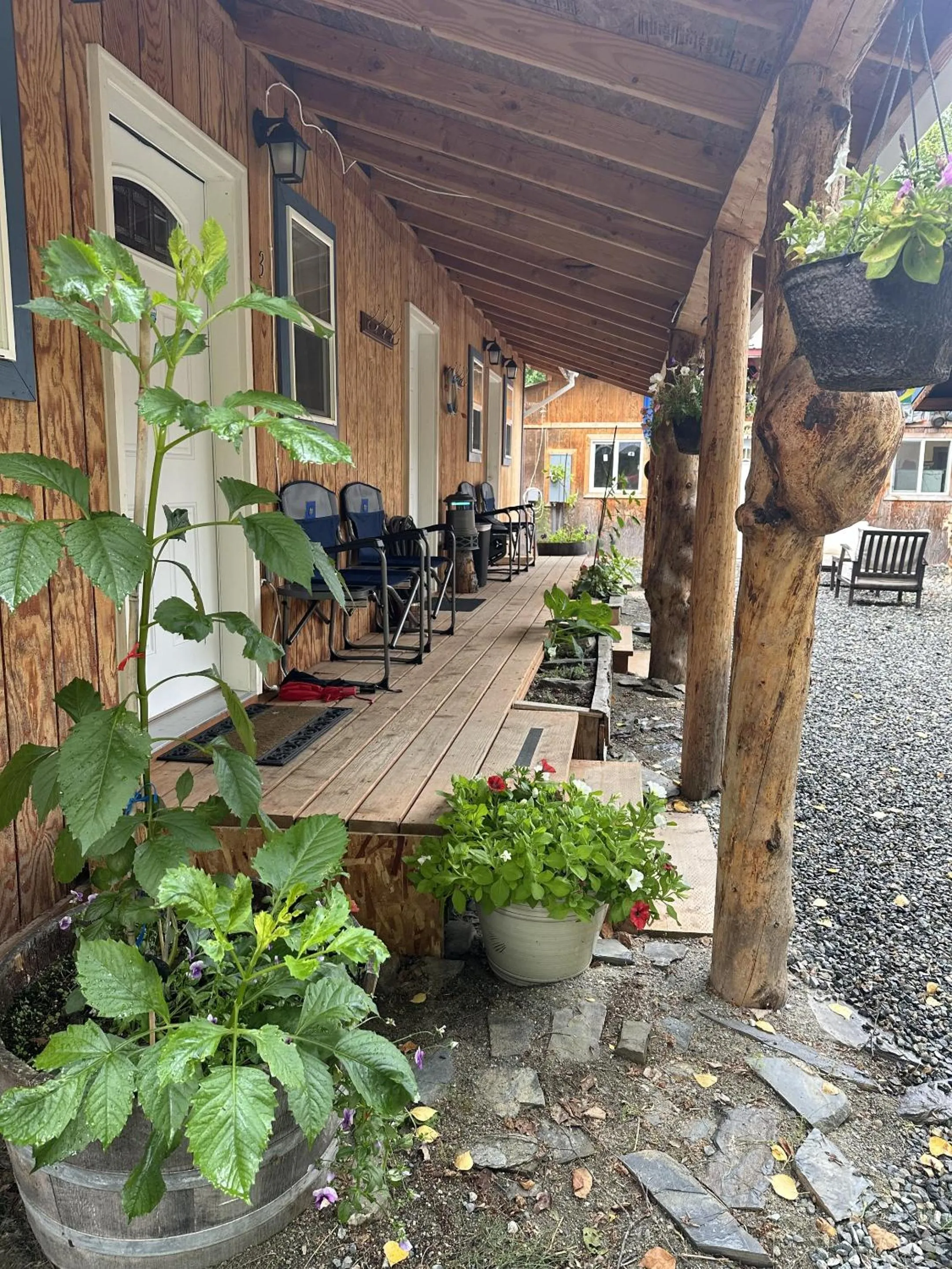 Garden in talkeetna villas and tours