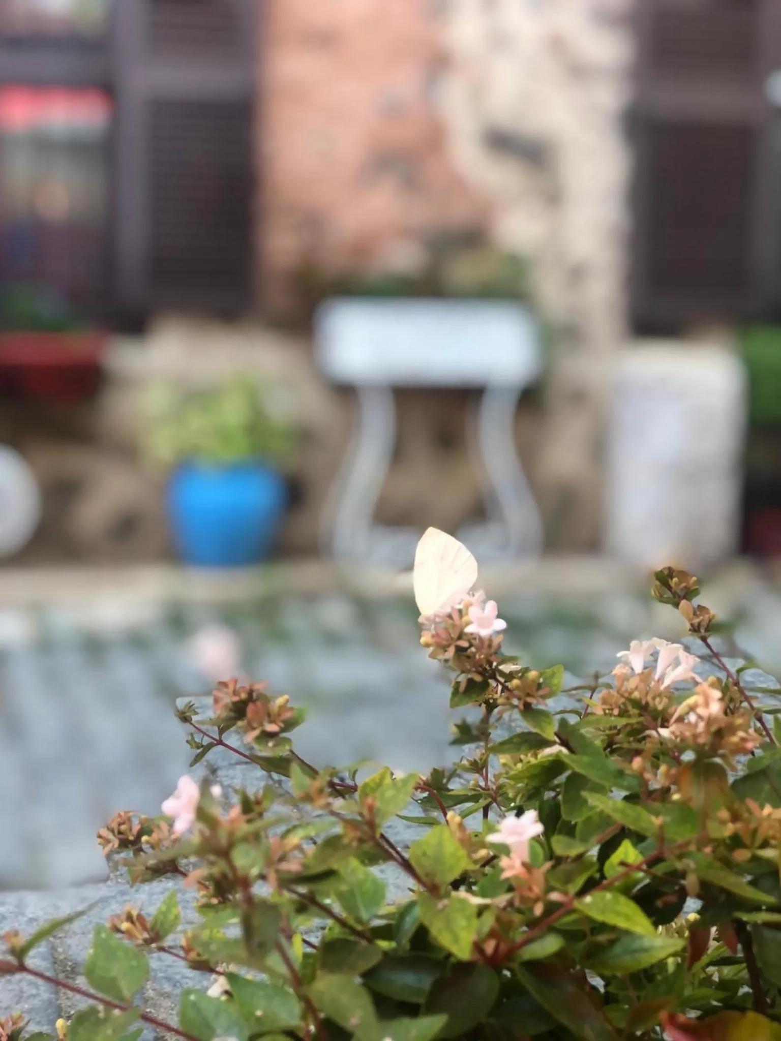 Animals in Harmony Butik Otel