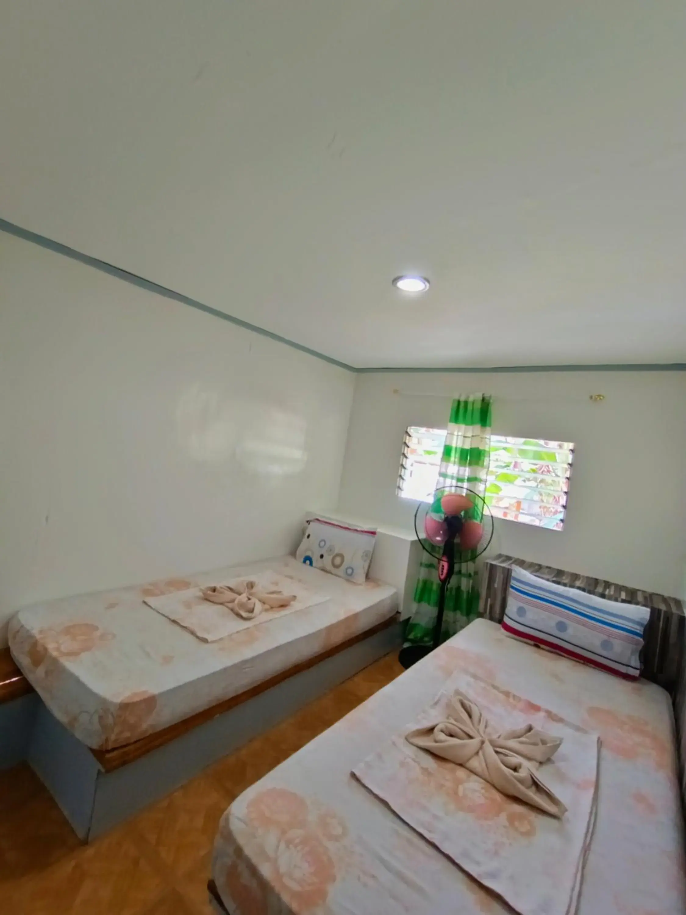 Standard Double Room in Anda-Divers-Enjoy Garden Resort Standard Double Room in Anda-Divers-Enjoy Garden Resort