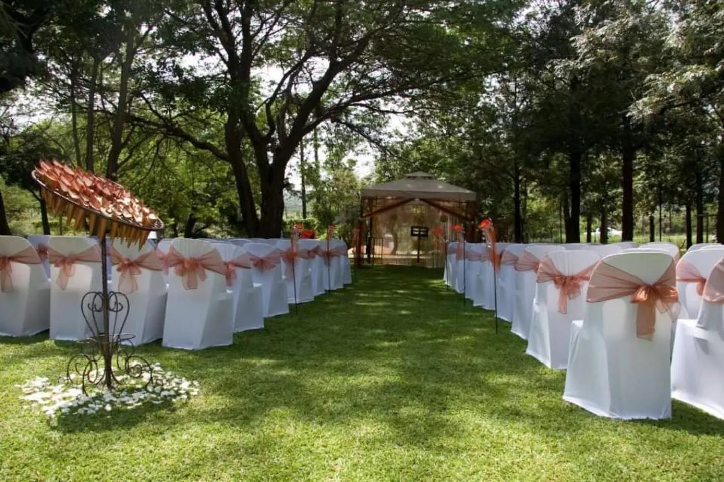 wedding in N4 Guest Lodge