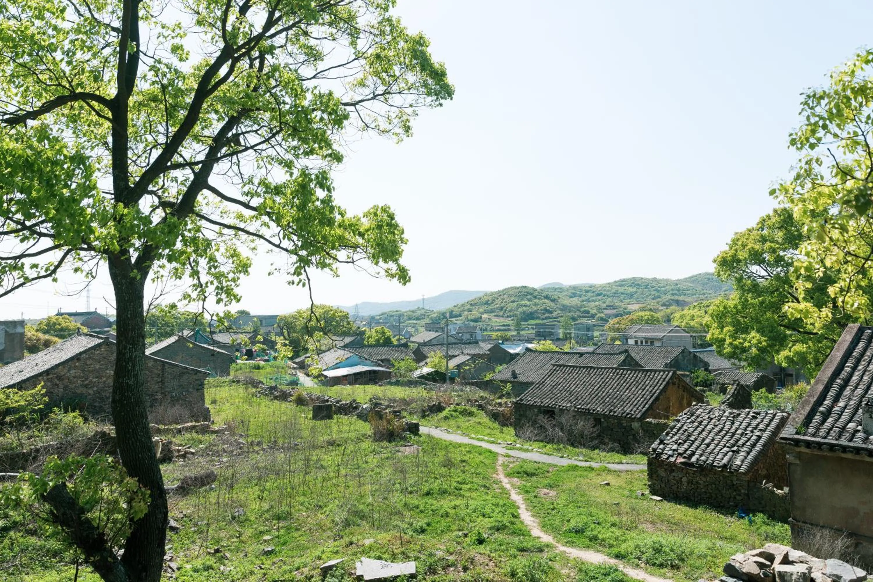 Bloom Over The Sea by JinSpecial