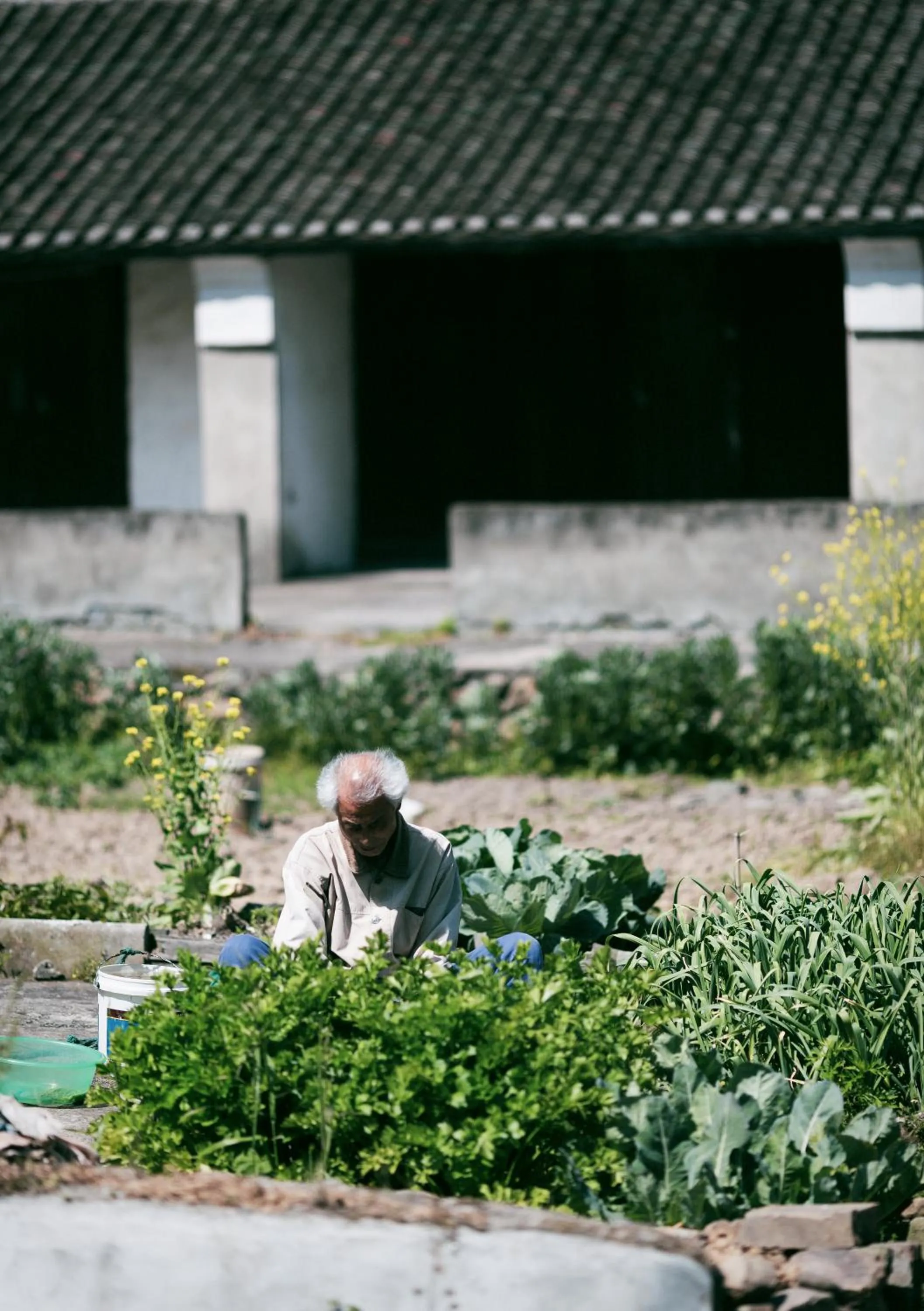 Bloom Over The Sea by JinSpecial