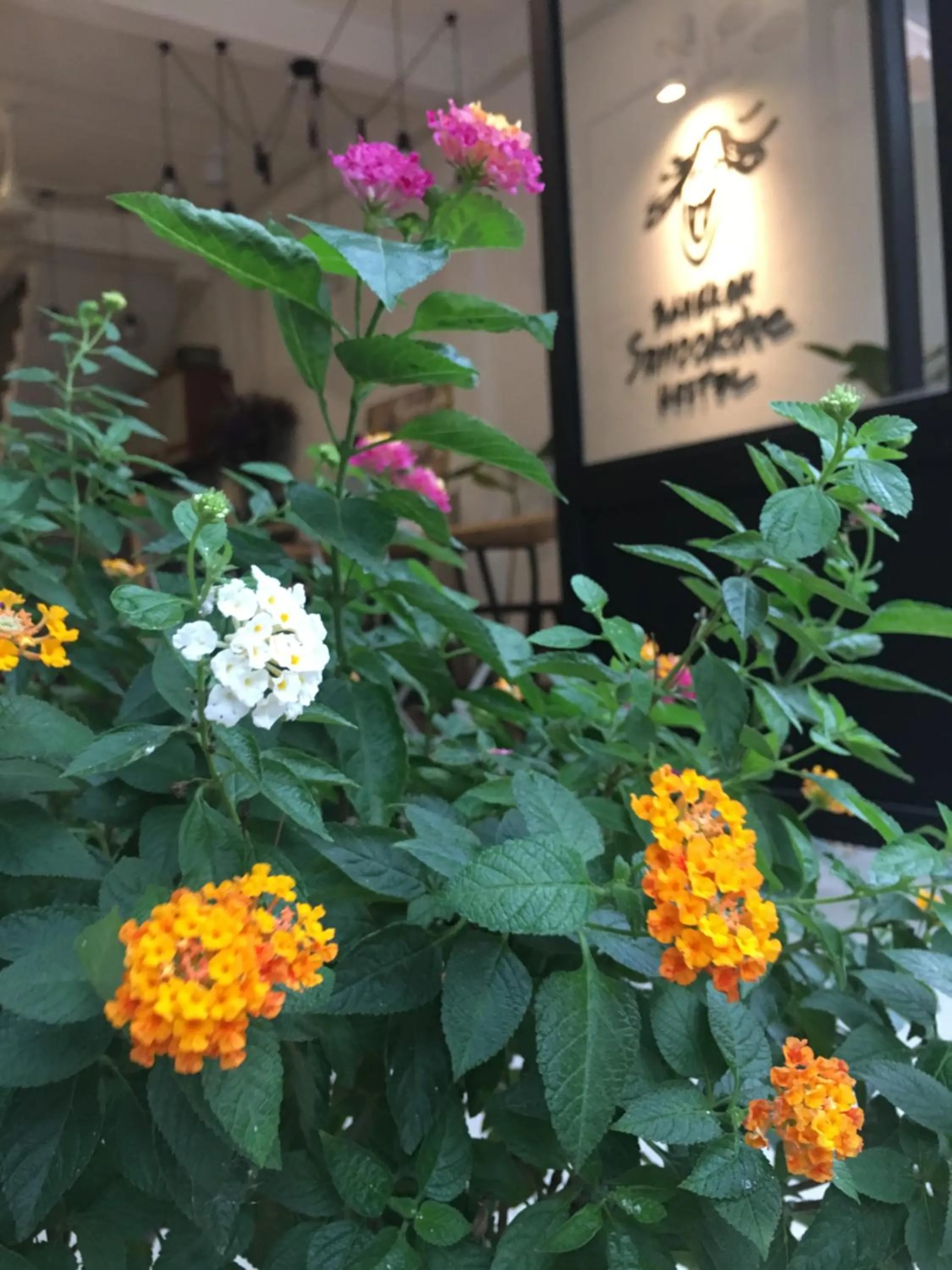 Facade/entrance in Bangkok Sanookdee Hostel