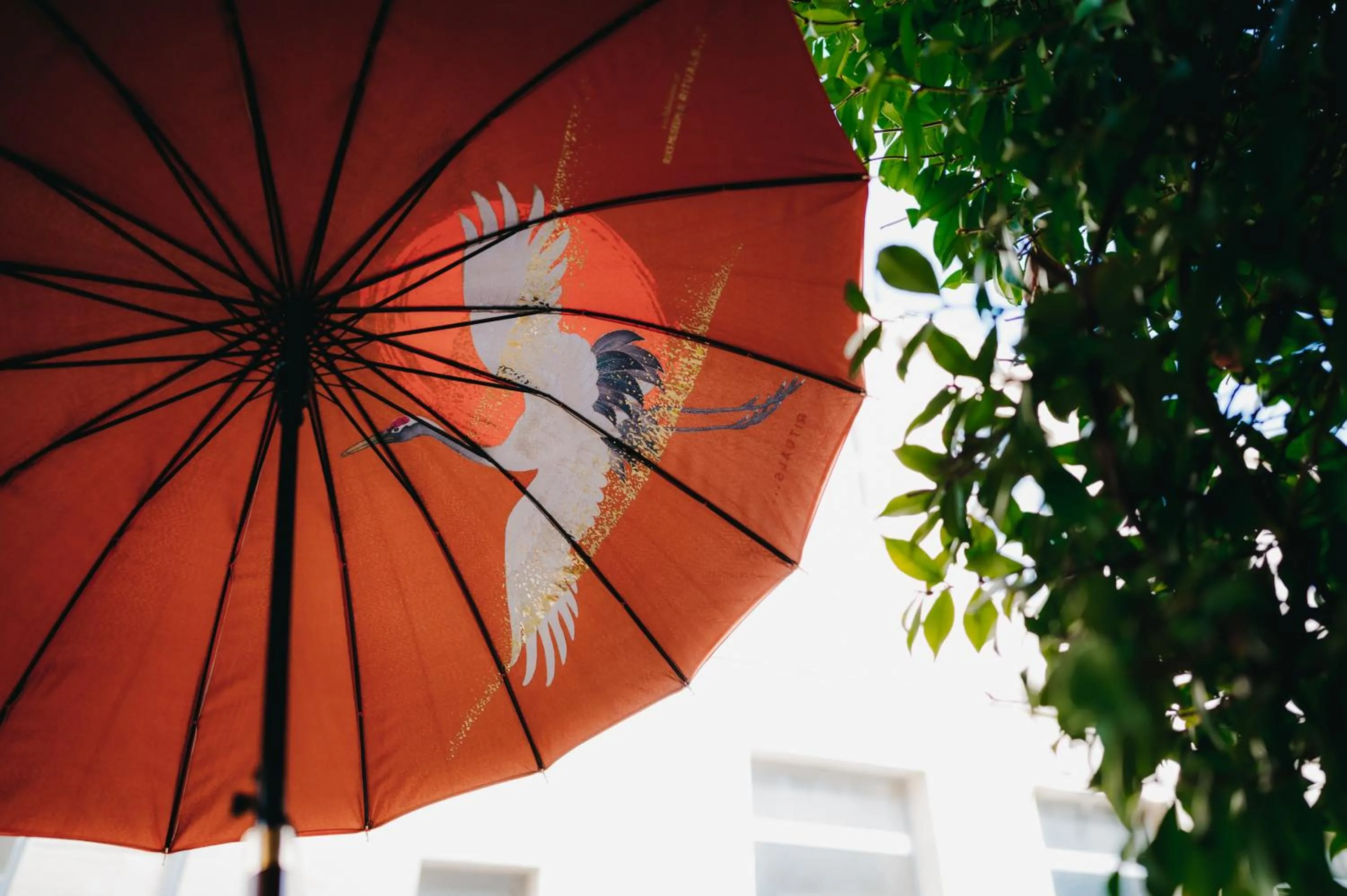 Decorative detail in La Belle Endormie B&B French Guest house