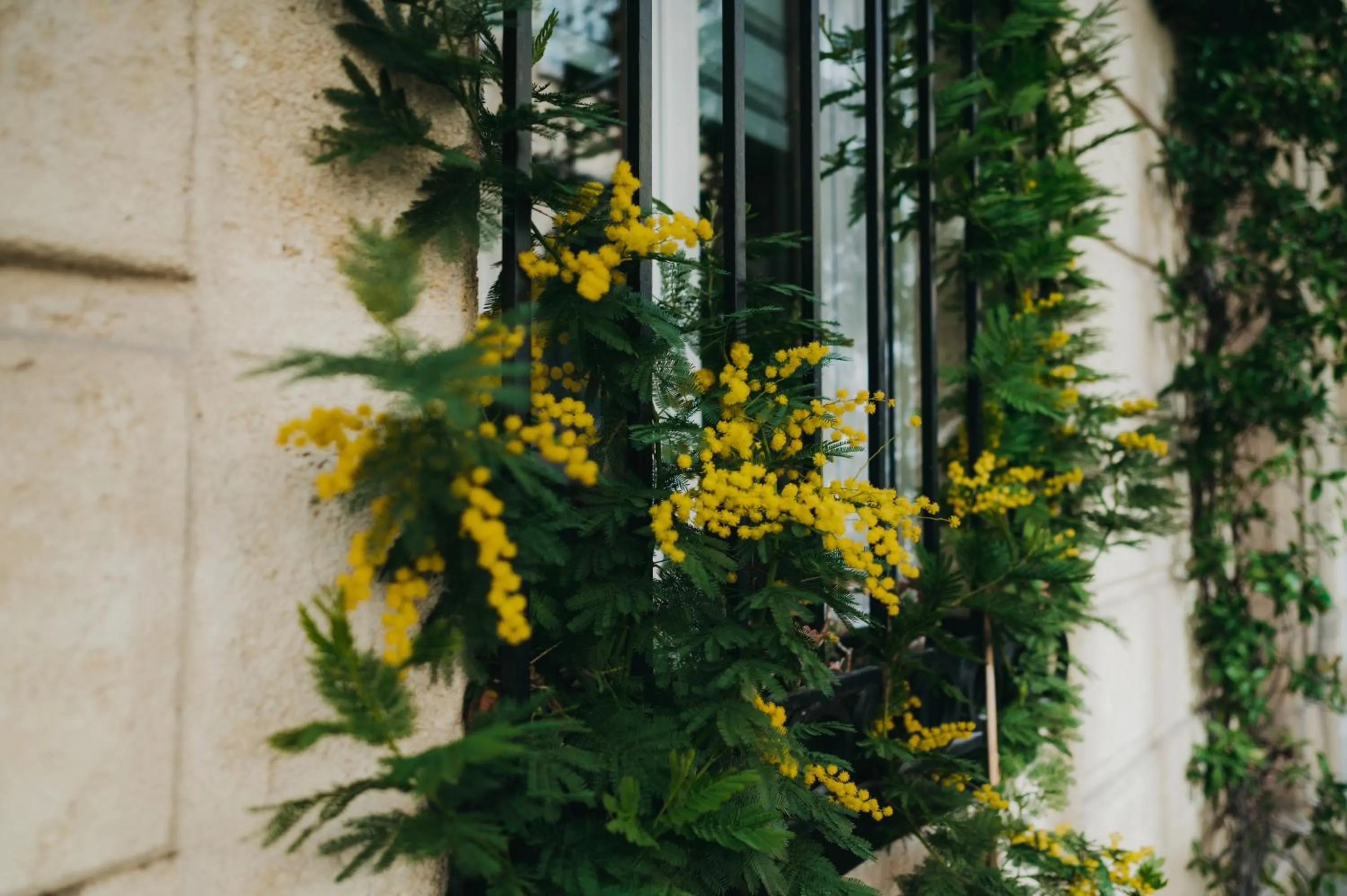 Spring in La Belle Endormie B&B French Guest house