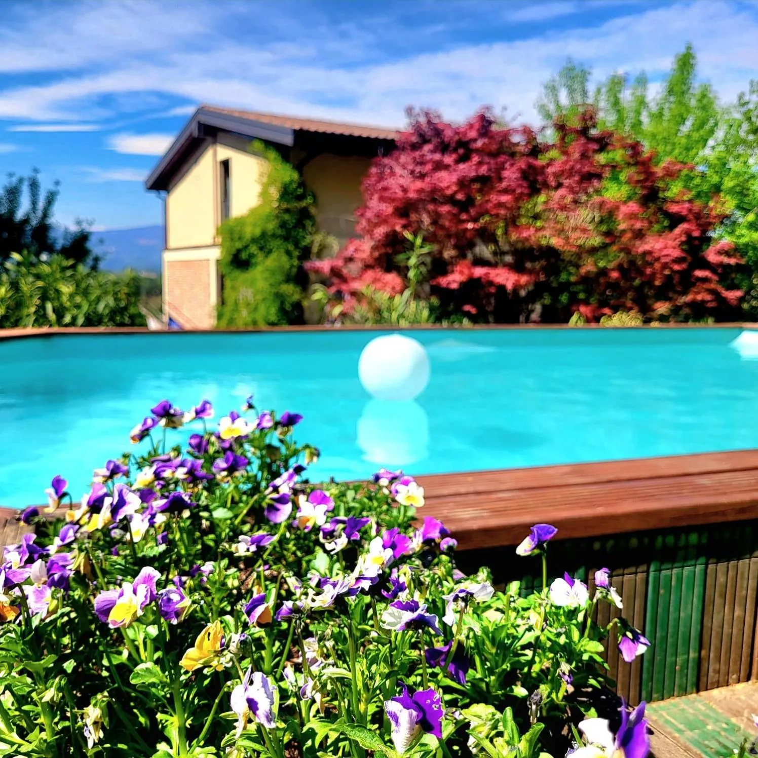 Pool view in B&B Relais Cascina al Campaccio