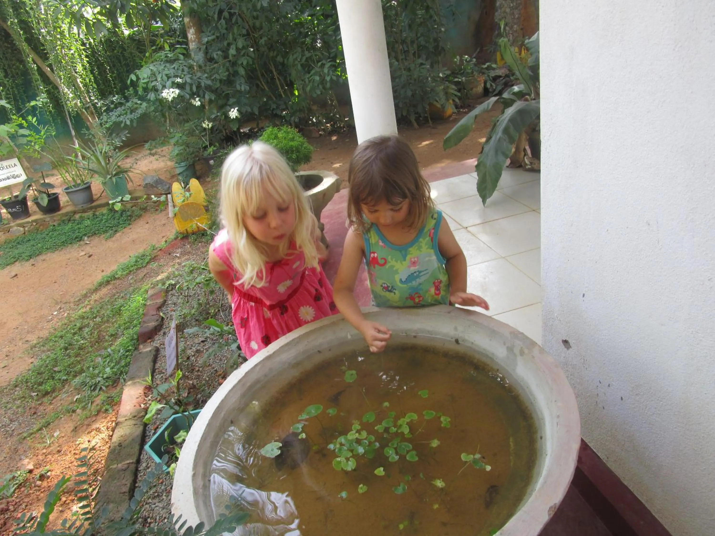 Green Herbal Ayurvedic Eco-Lodge