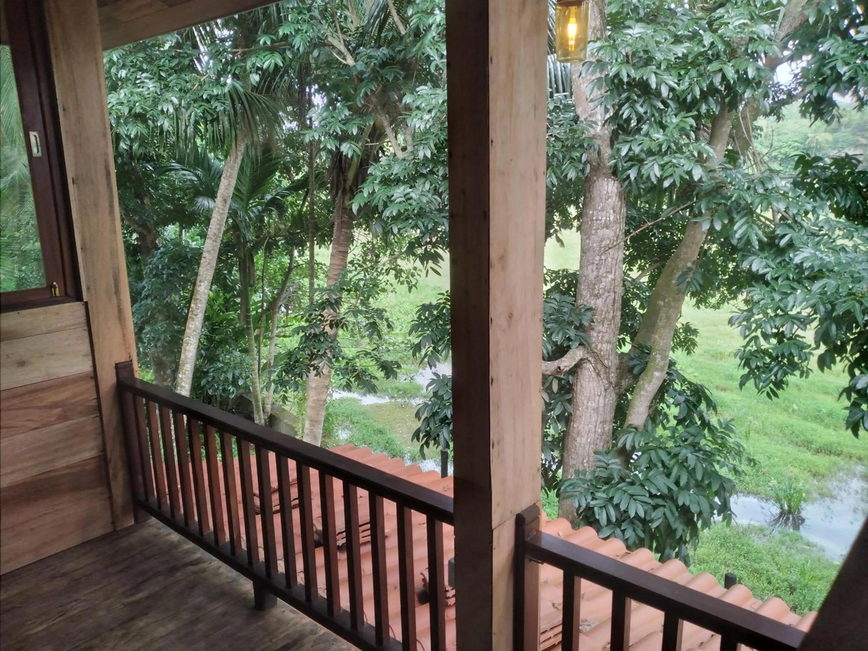 Spring in Green Herbal Ayurvedic Eco-Lodge