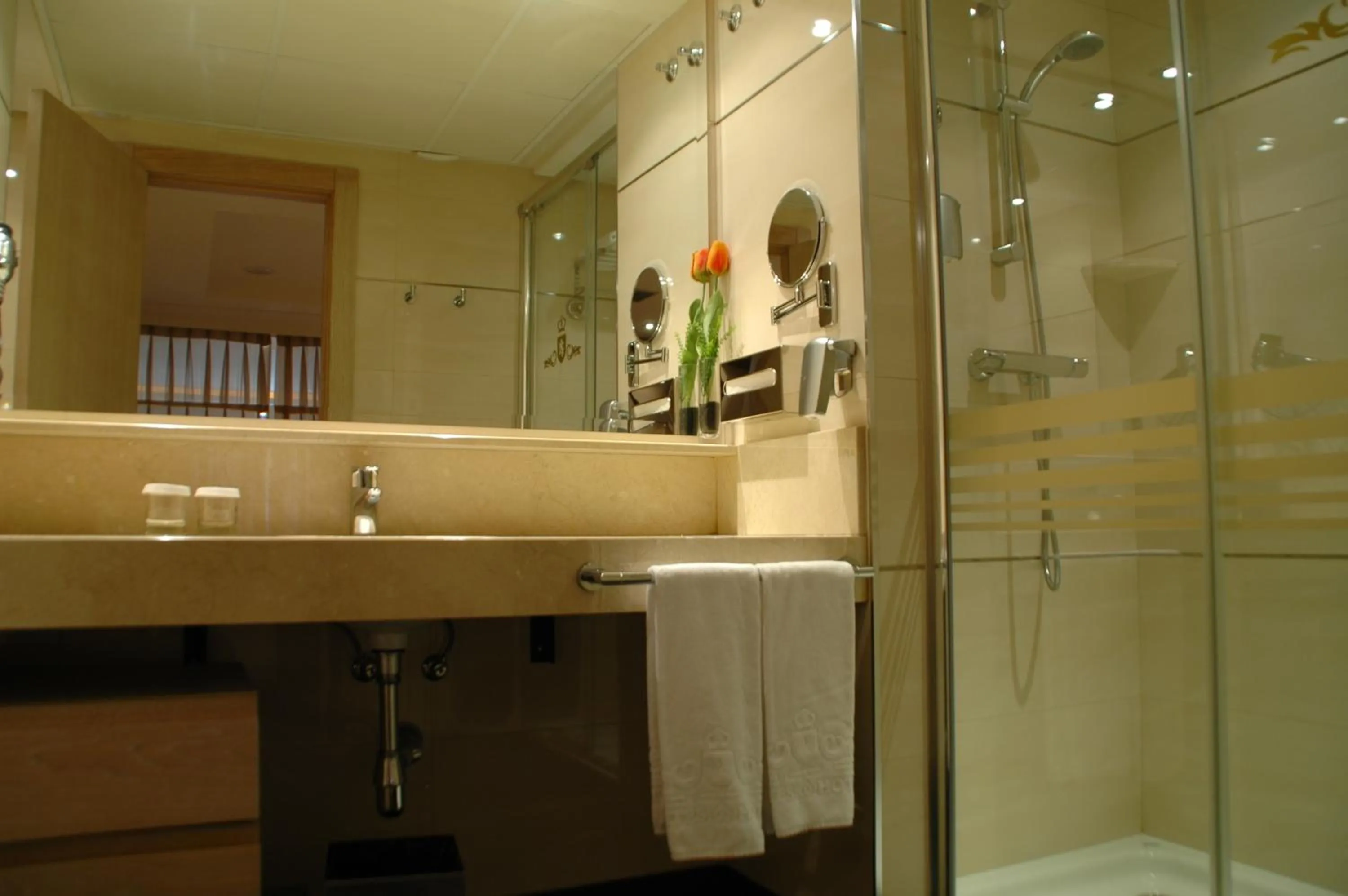 Shower in Washington Parquesol Suites & Hotel