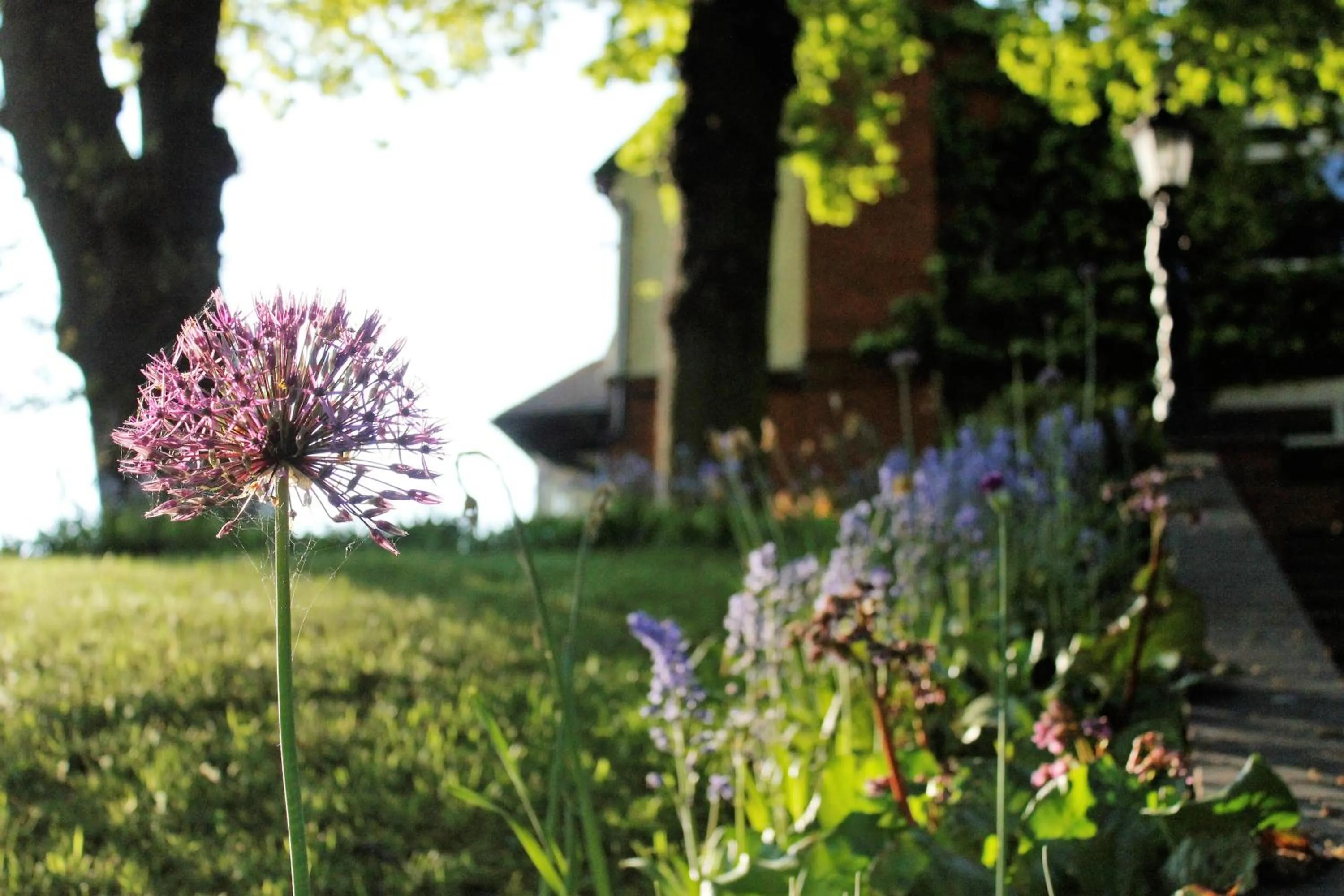 Garden view in Grimscote Manor Hotel