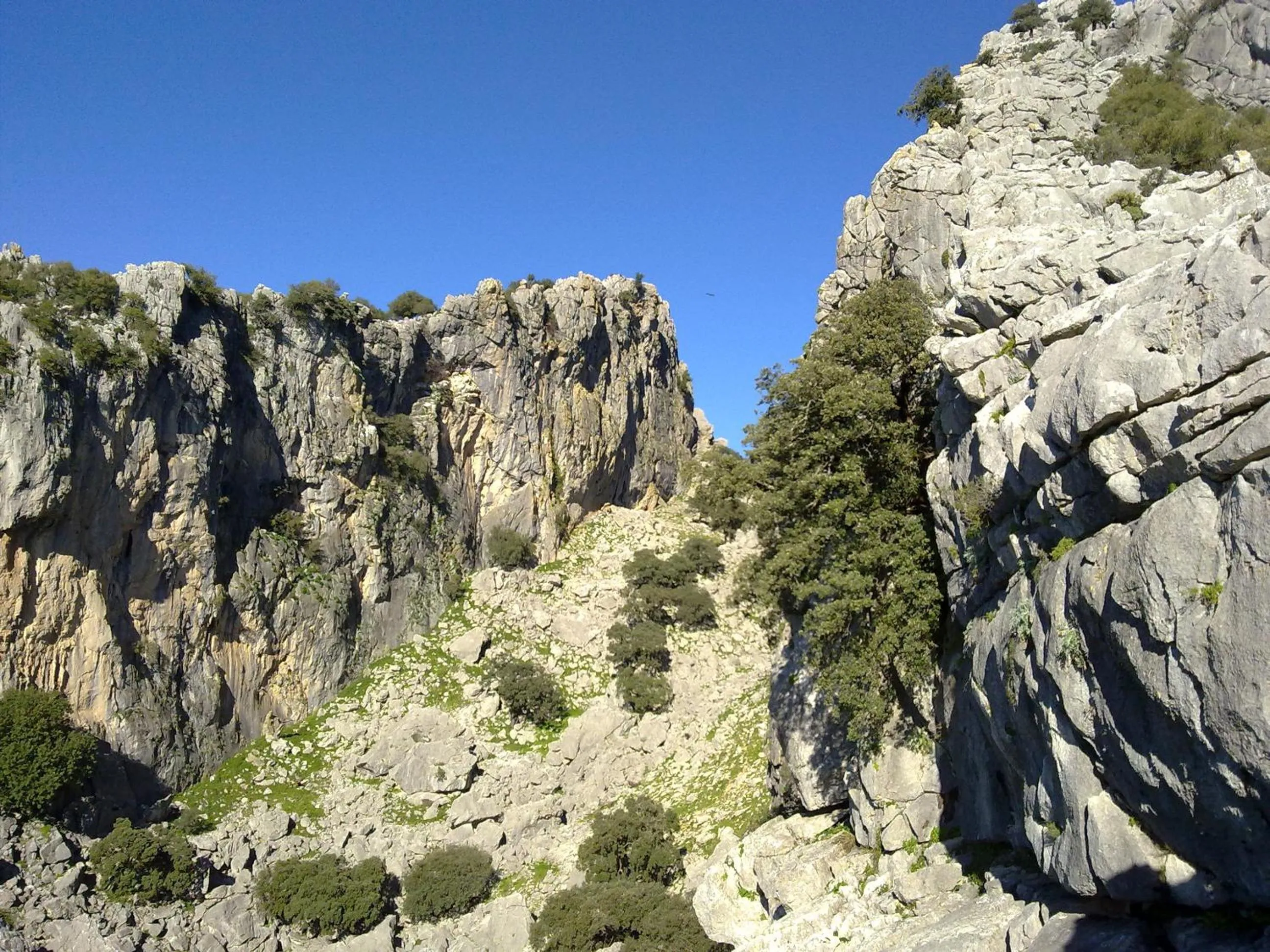 Natural landscape in La Palmosa