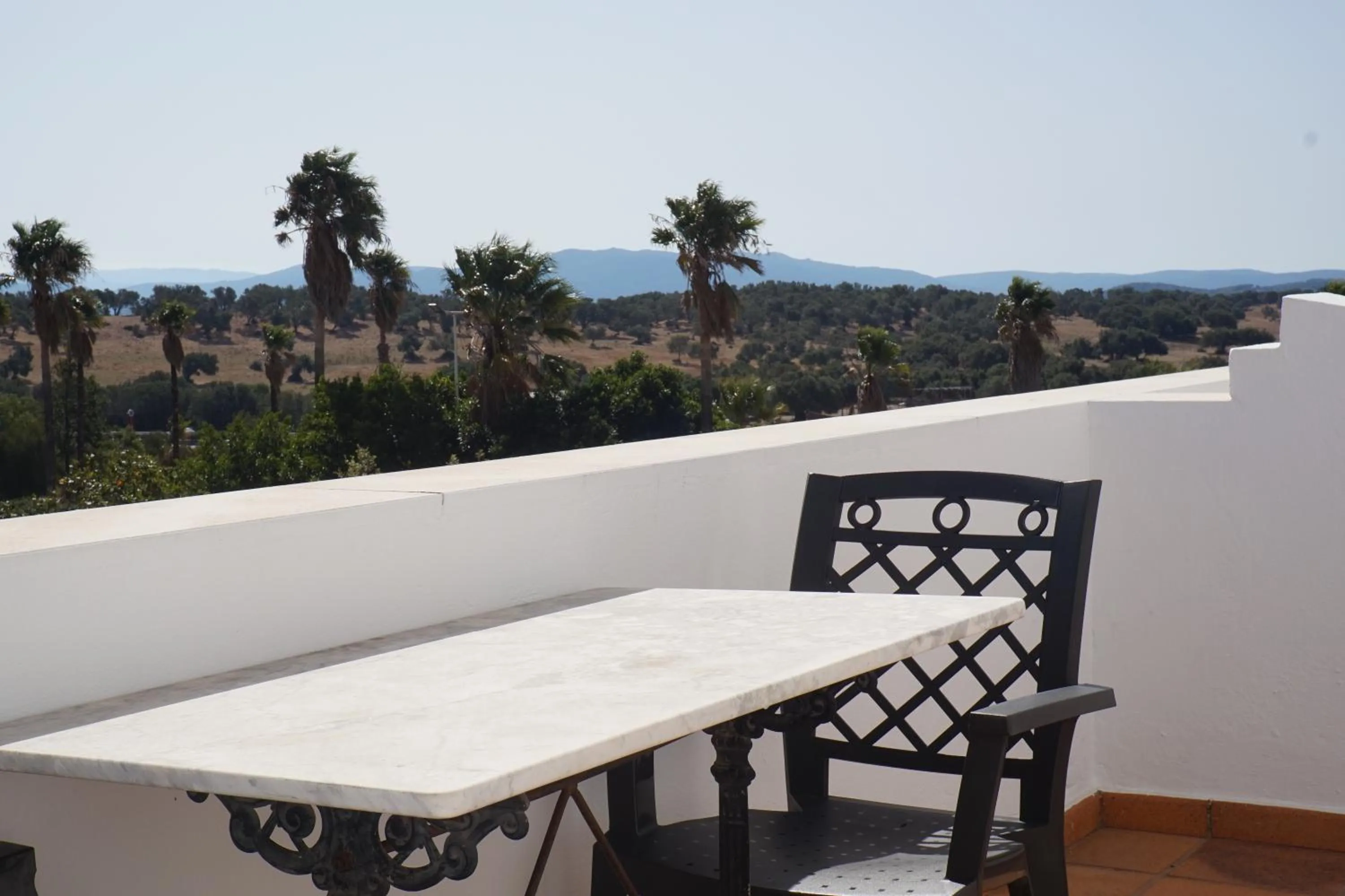 Balcony/Terrace in La Palmosa
