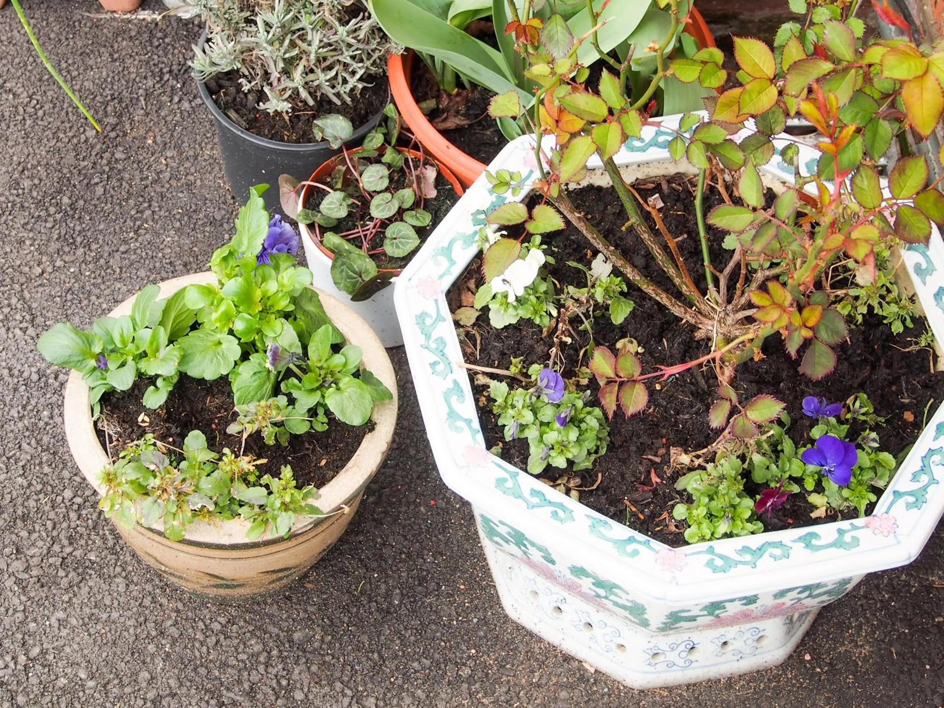 Decorative detail in Leaded Light Guest House
