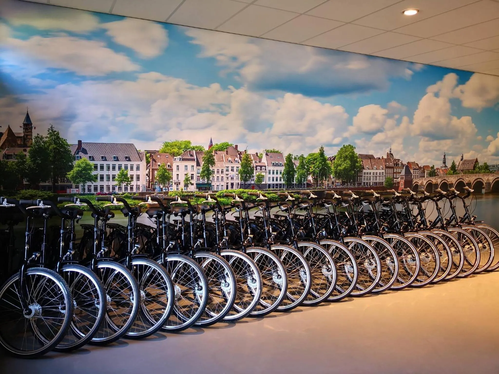 Cycling in Dormio Hotel De Prins van Oranje