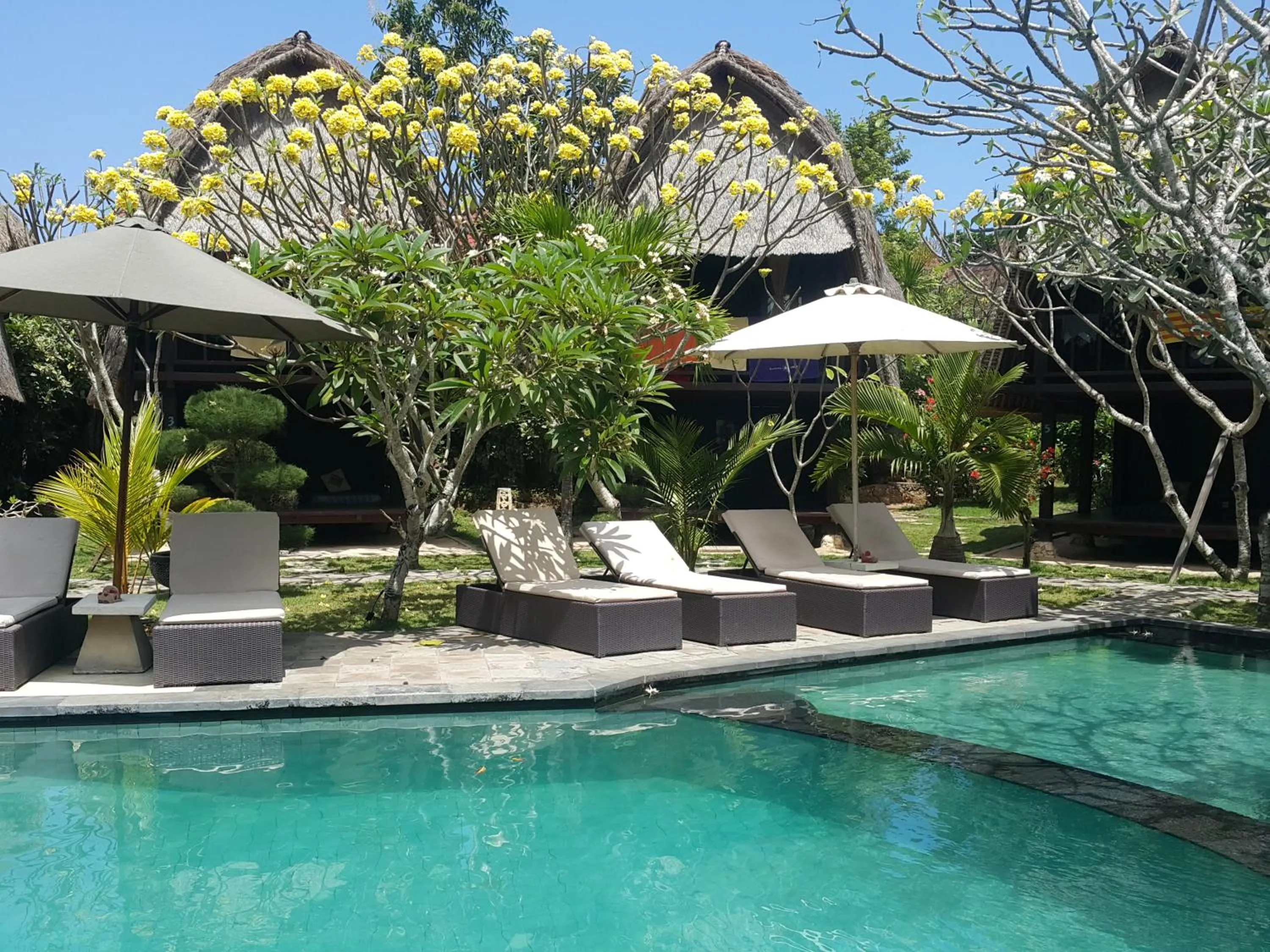 Swimming pool in Nanuk's Bungalows