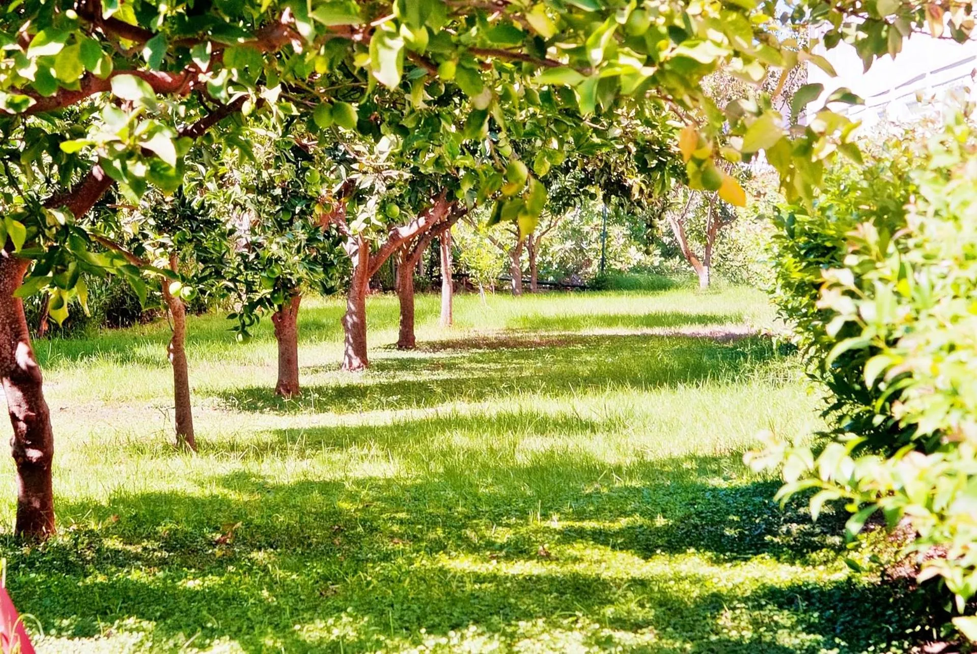 Day in Hotel Palmyra