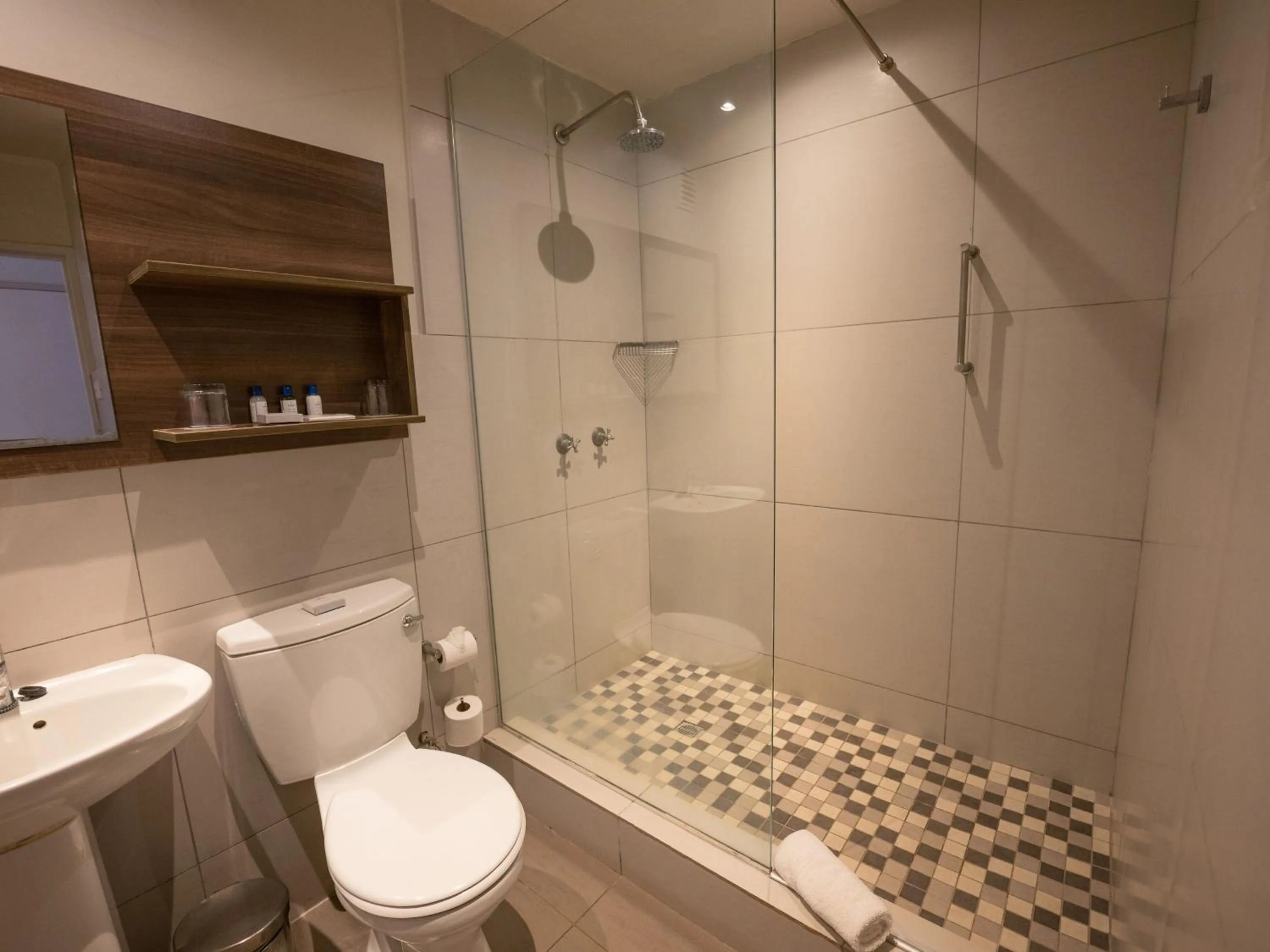 Toilet in ANEW Hotel Hluhluwe