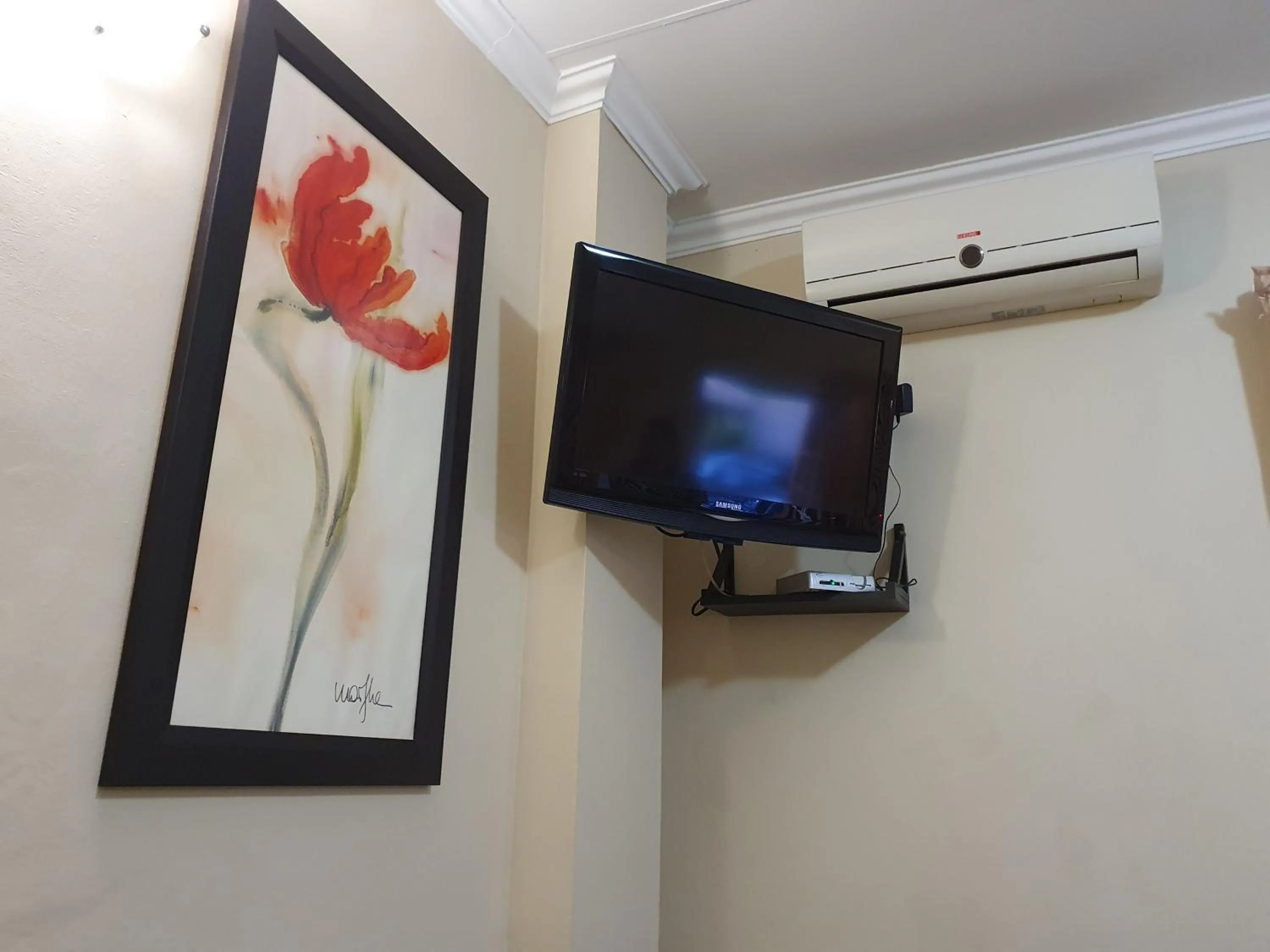 TV and multimedia in 7th Street Guesthouse