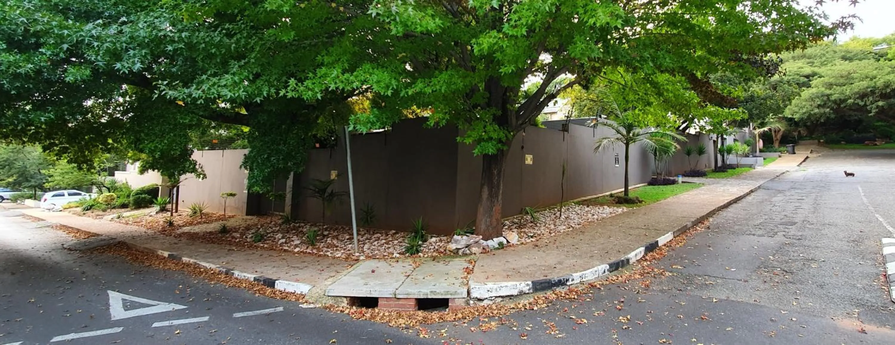 Neighbourhood in 7th Street Guesthouse