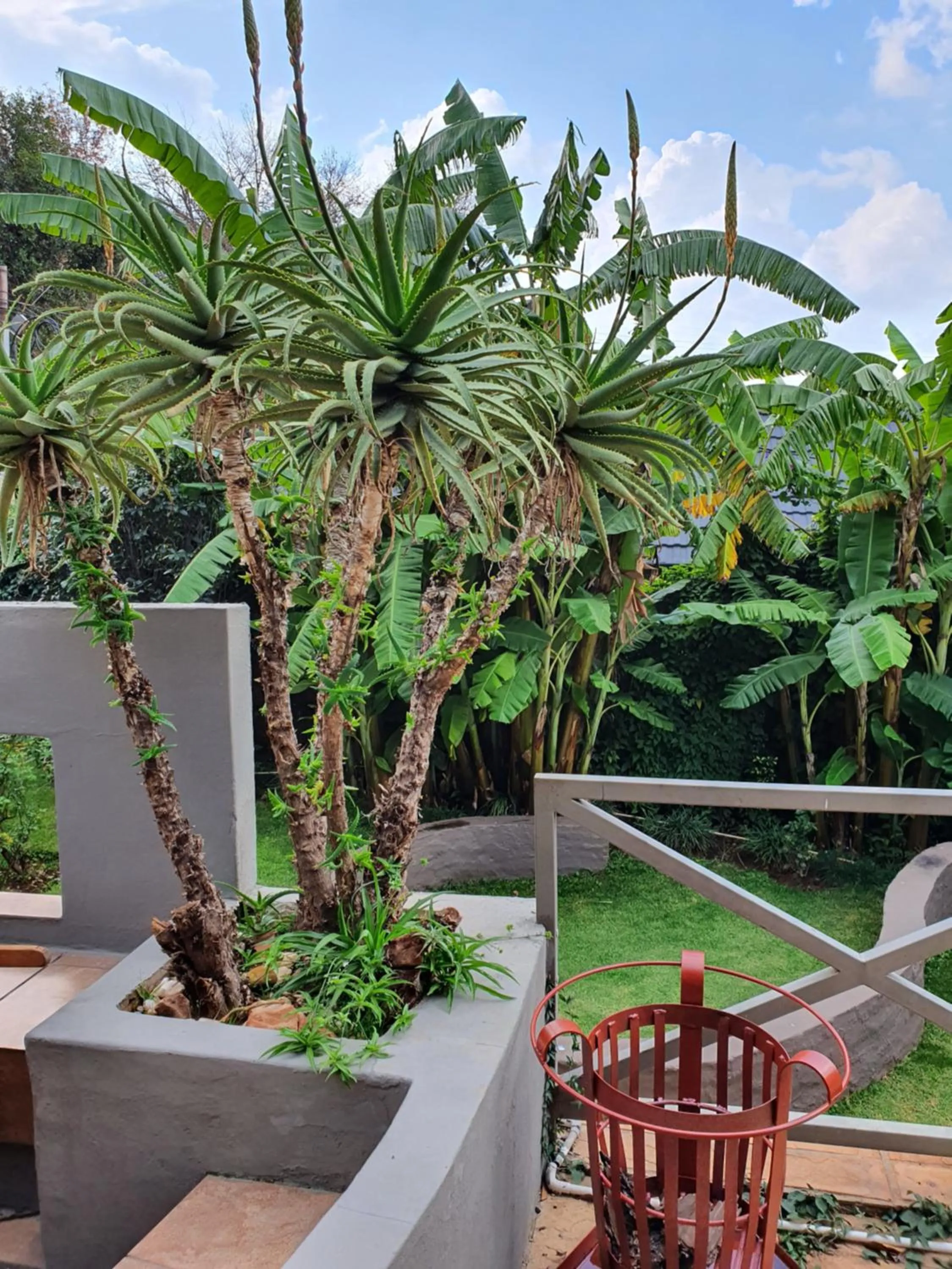 Patio in 7th Street Guesthouse