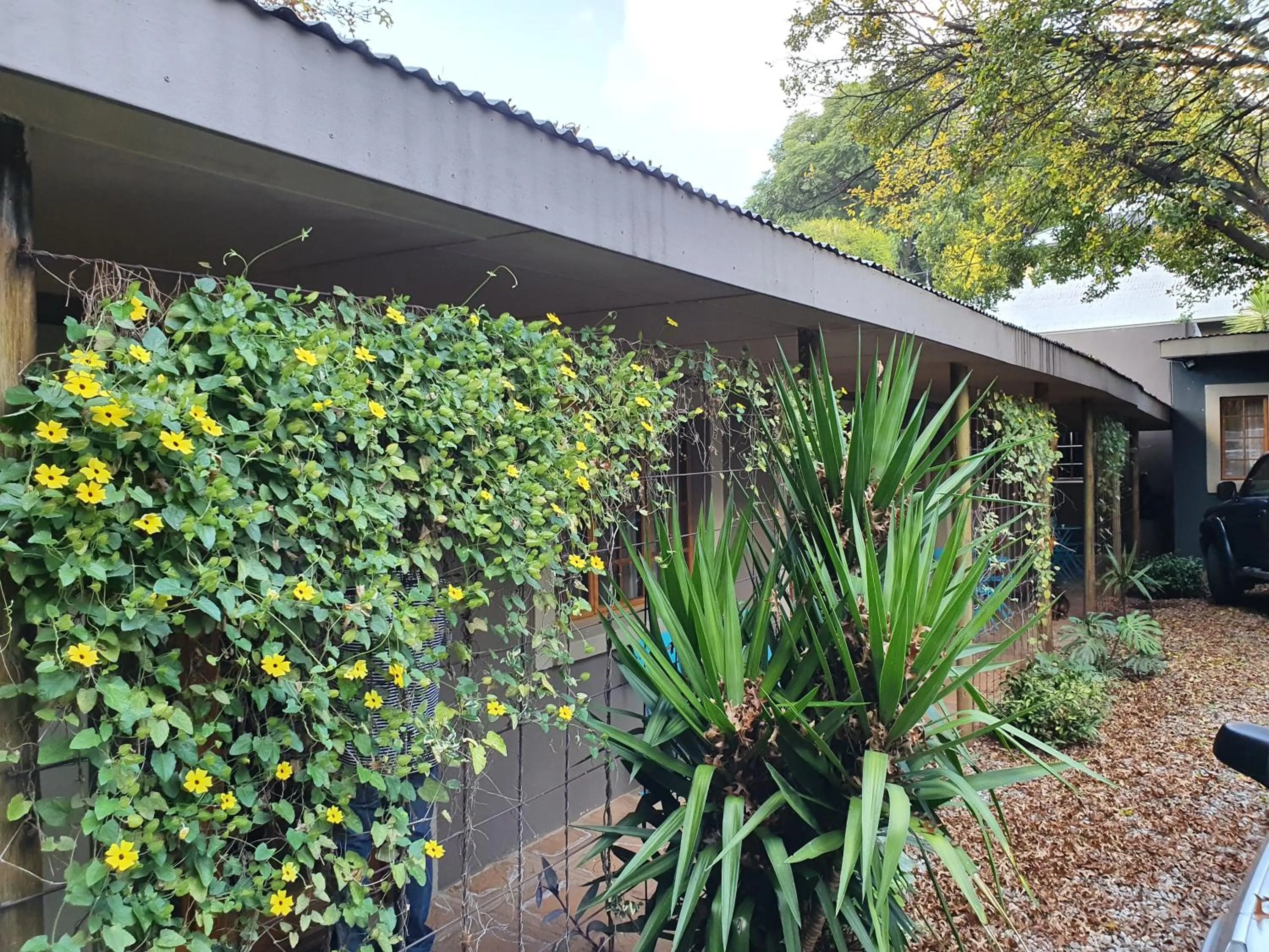 Patio in 7th Street Guesthouse