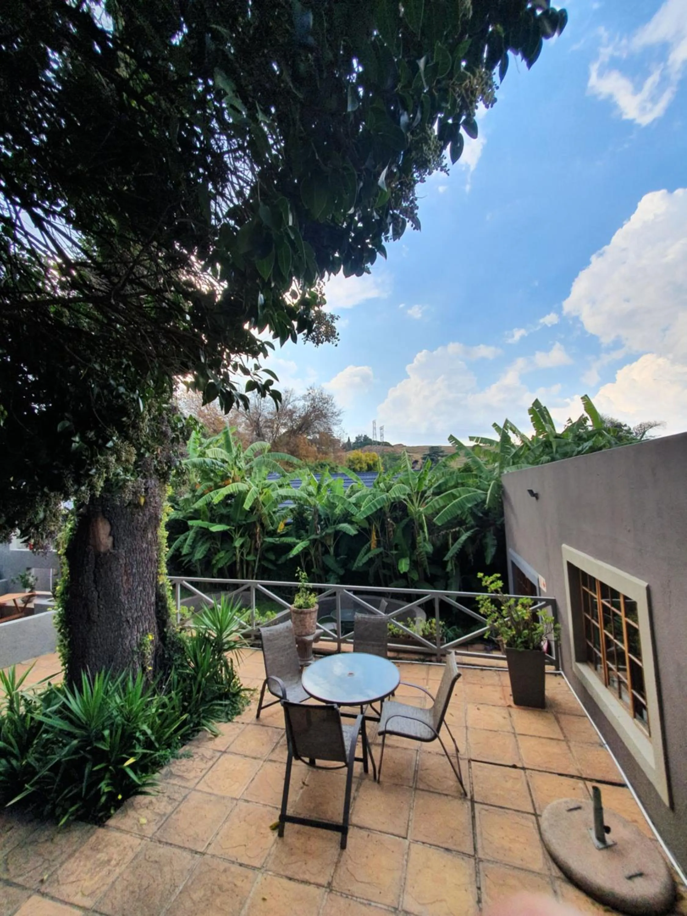 Patio in 7th Street Guesthouse