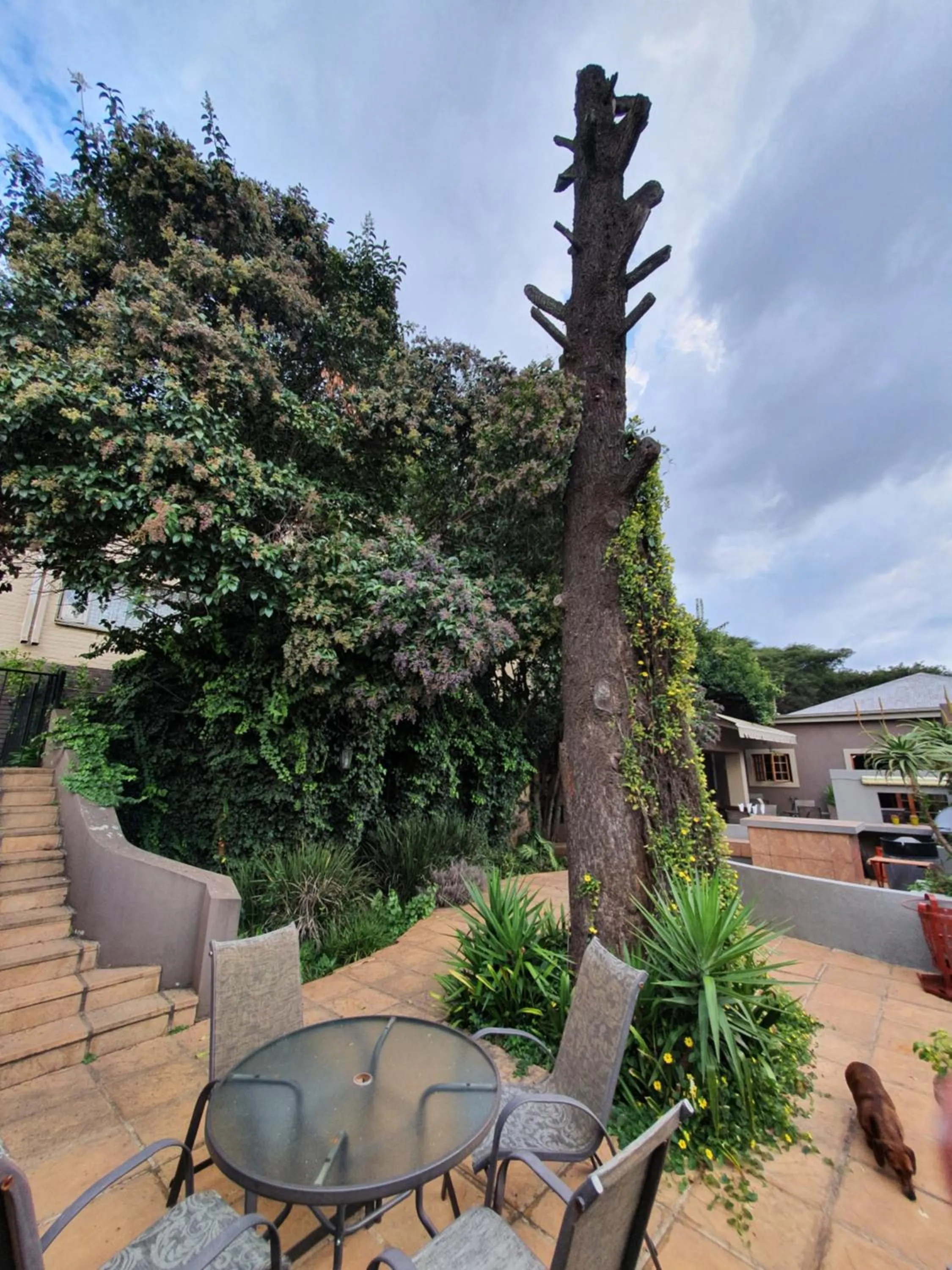 Patio in 7th Street Guesthouse