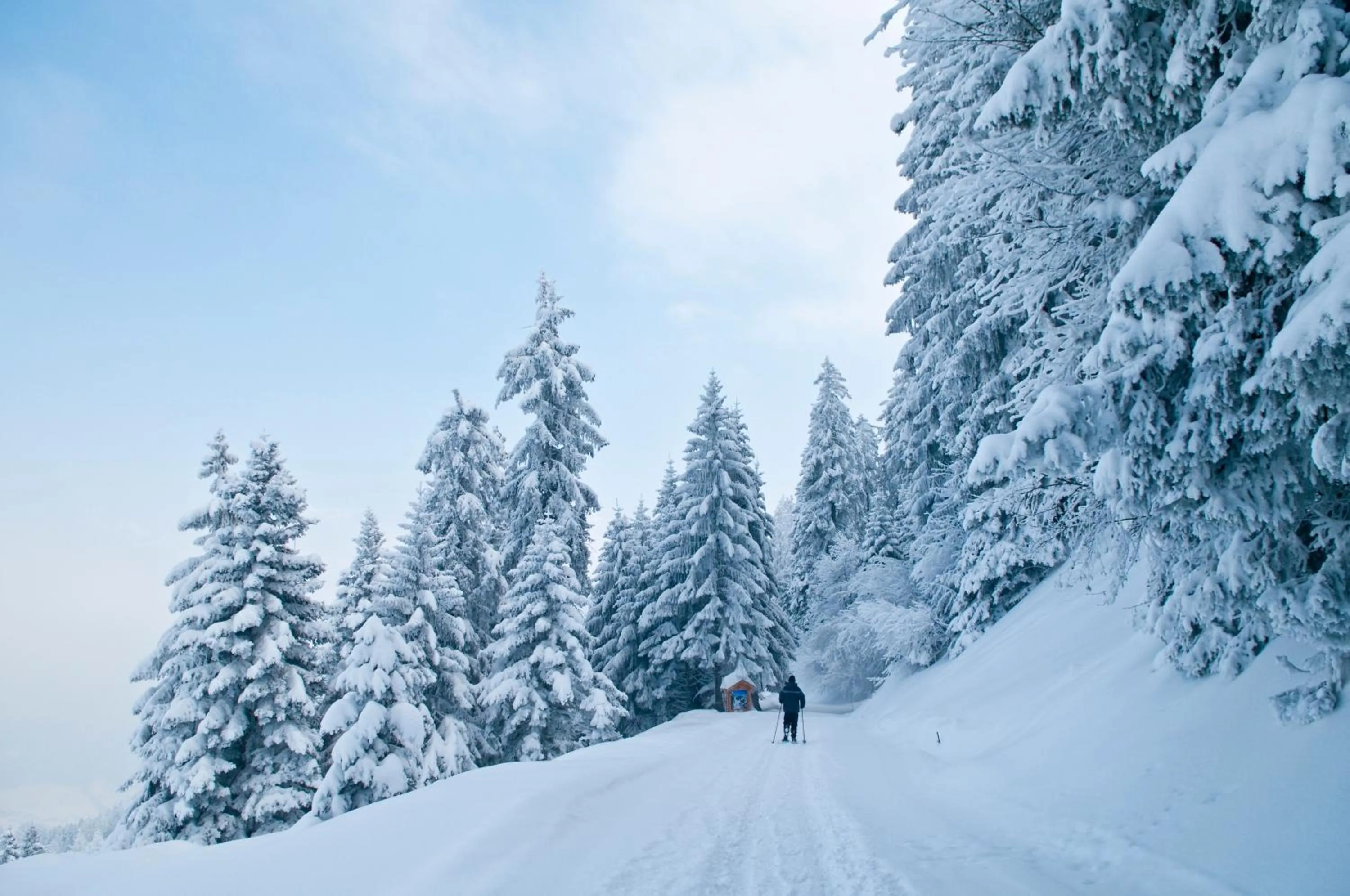 Activities in Whitepod Original