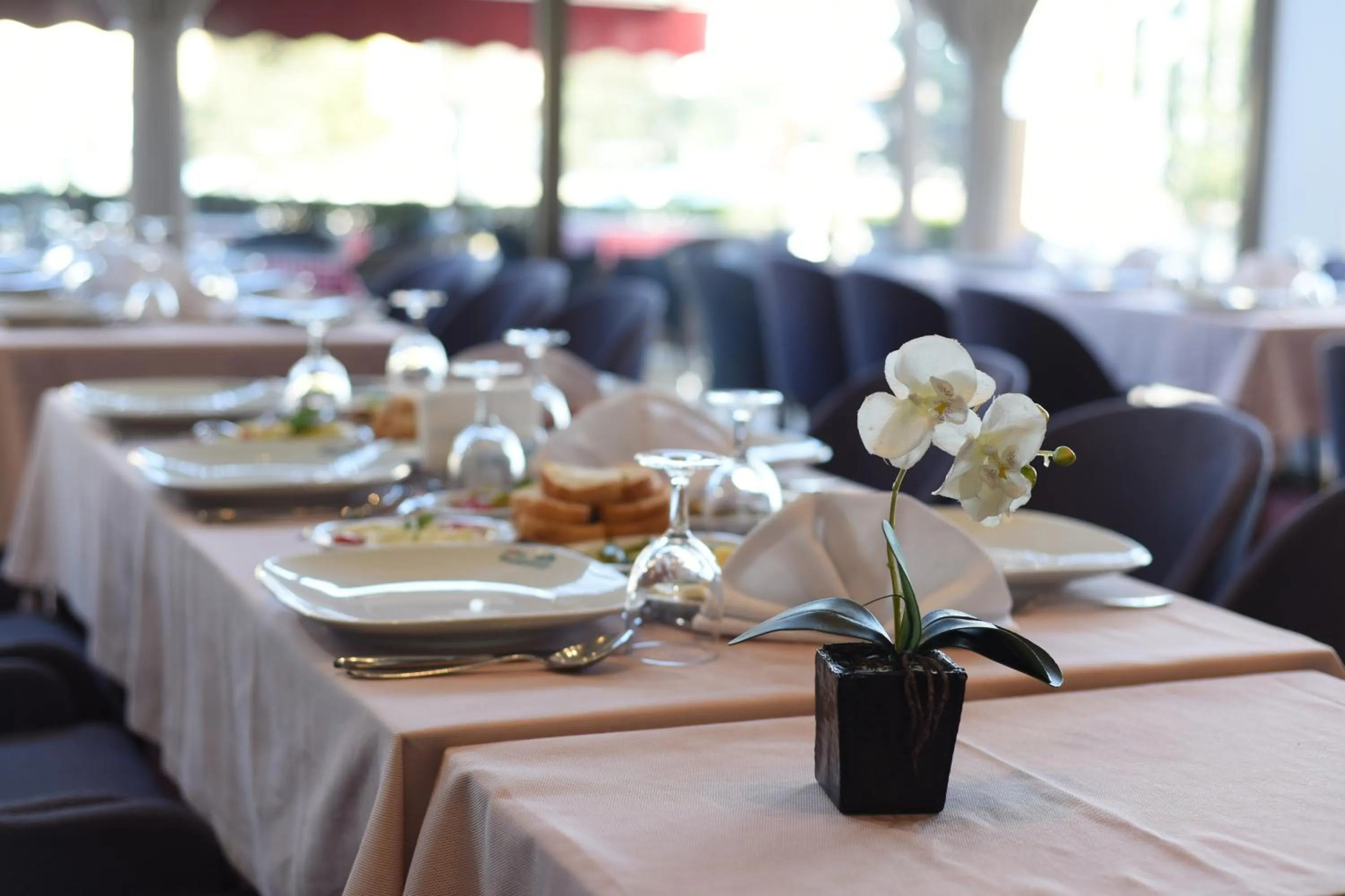 Restaurant/places to eat in Baliktasi City Hotel & Spa