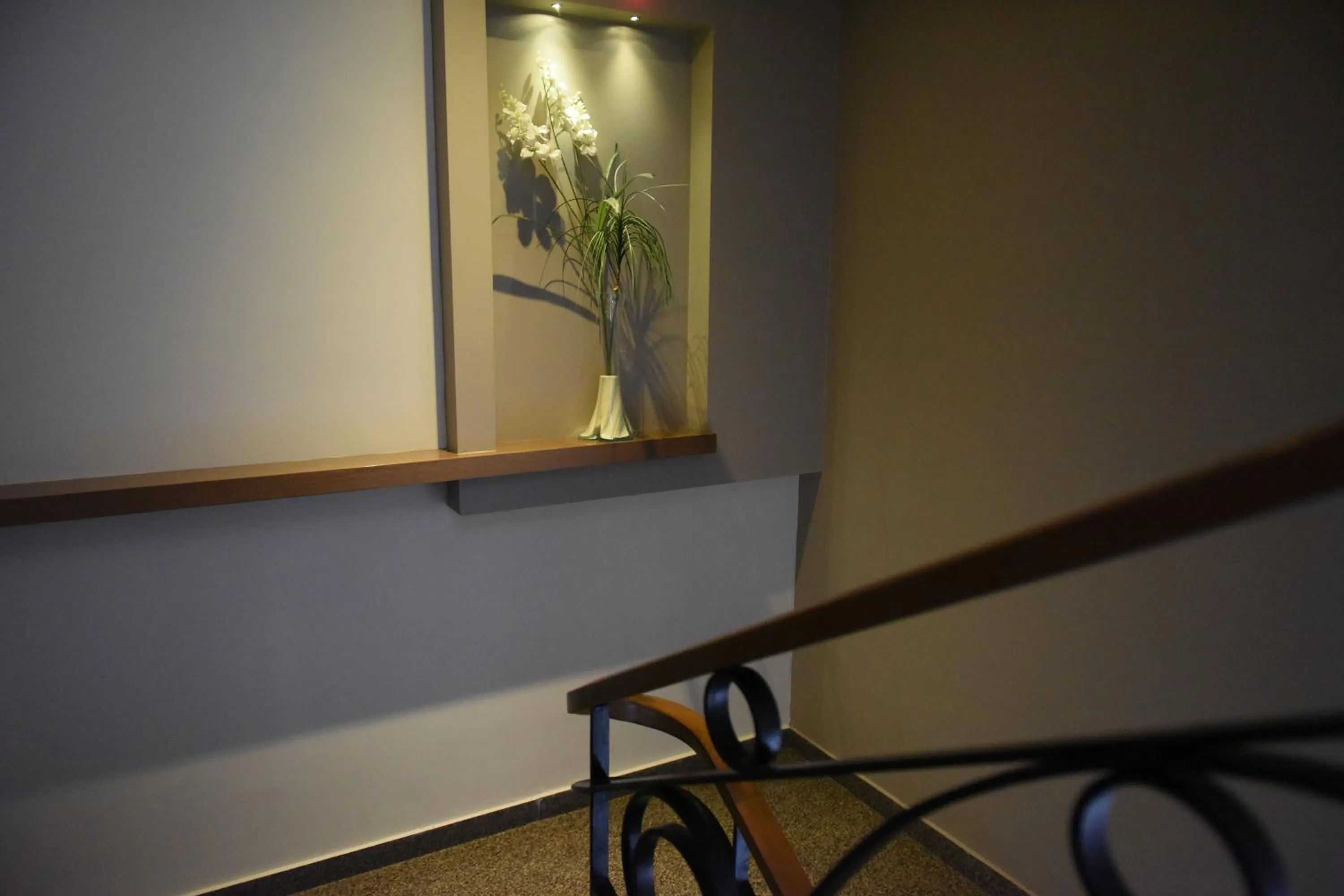 Area and facilities in Baliktasi City Hotel & Spa