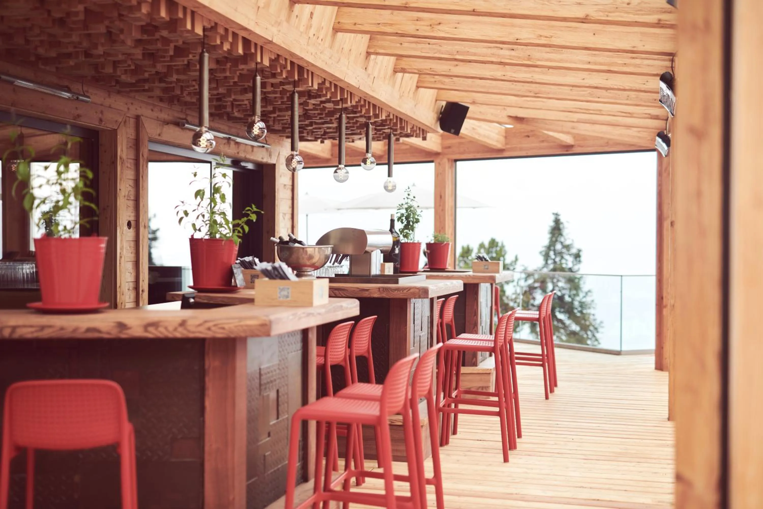 Lounge or bar in Berggasthof Platzlalm