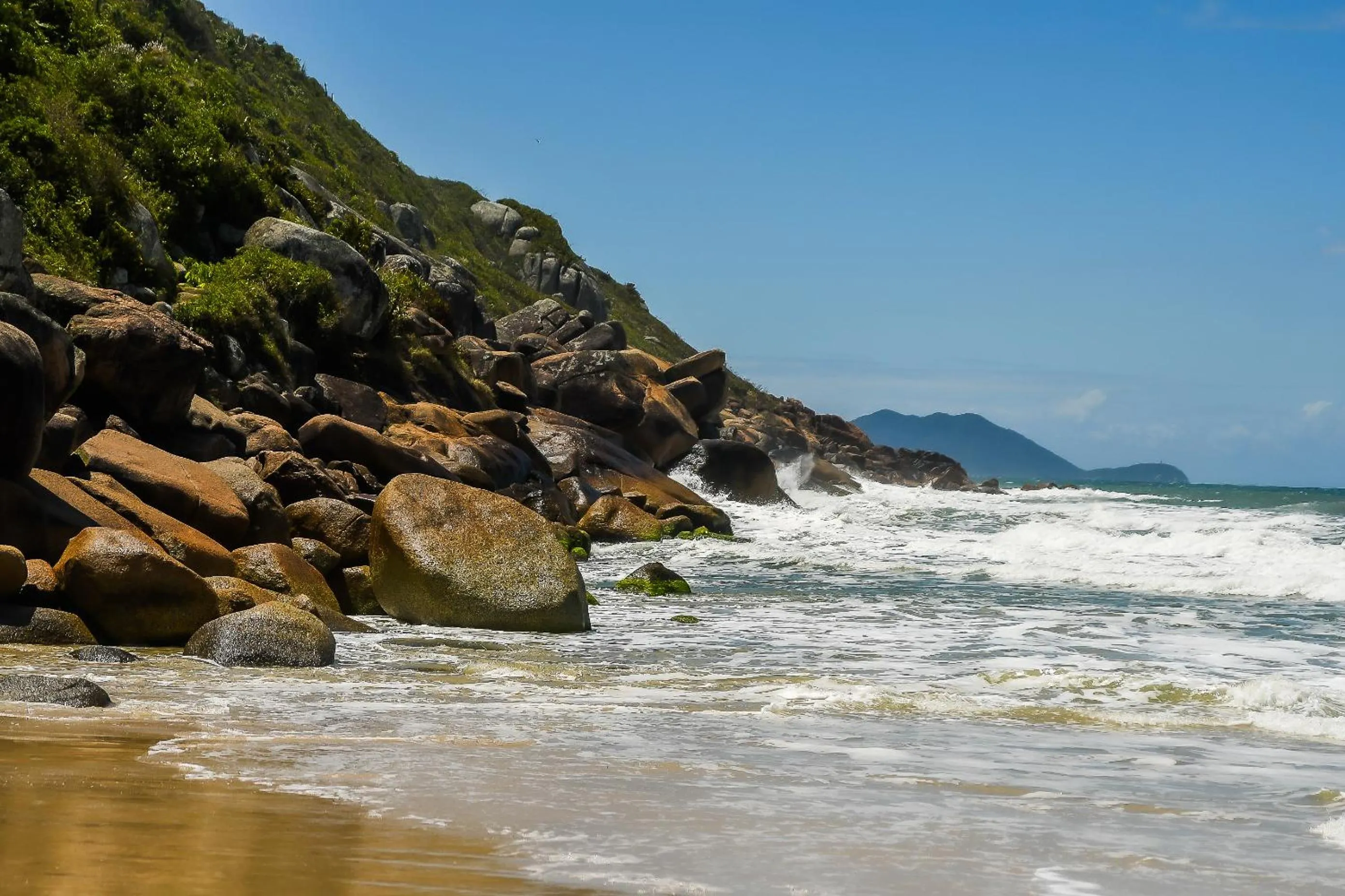 Natural landscape in Palm Beach Apart Hotel