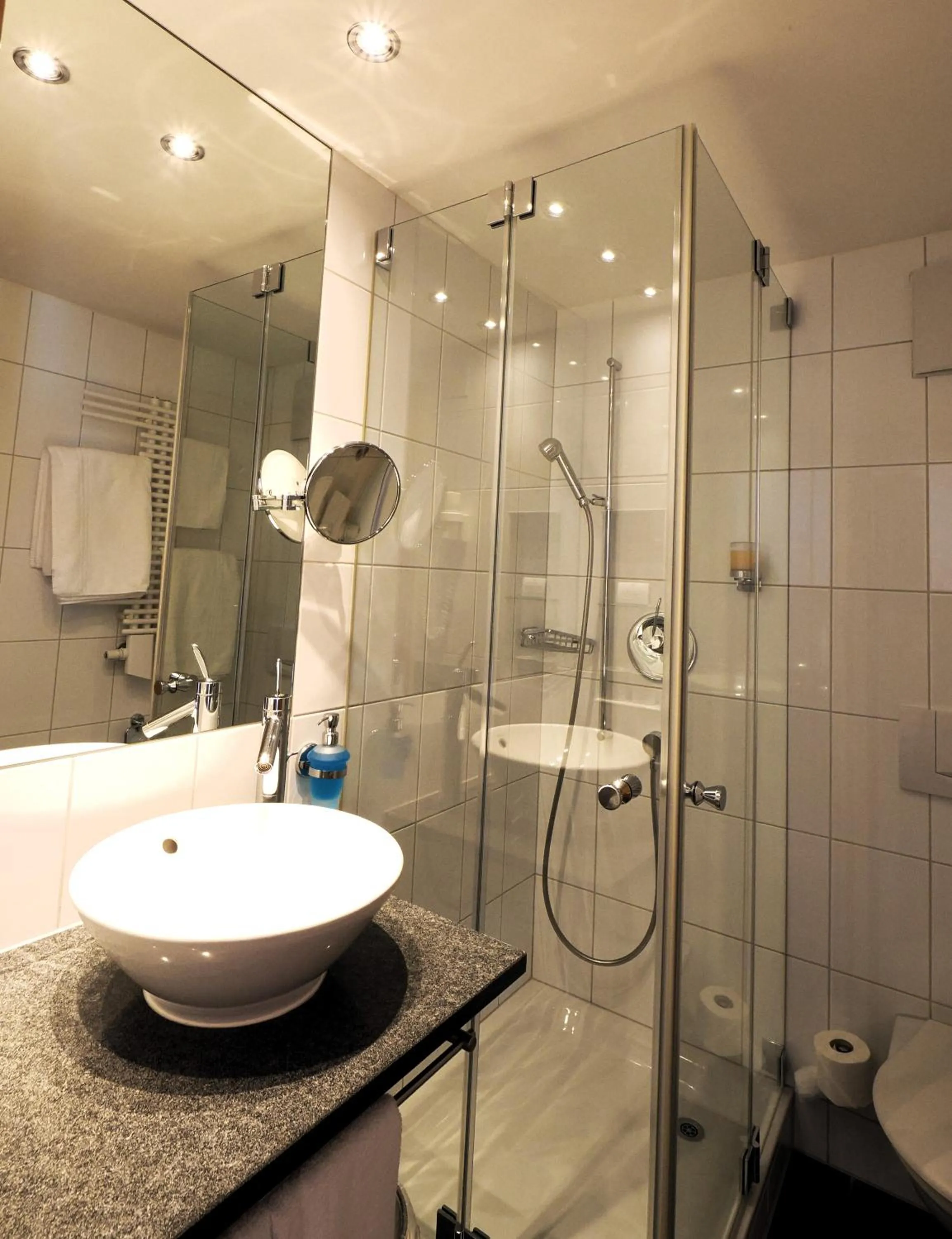 Bathroom in Hotel Alpina Parpan