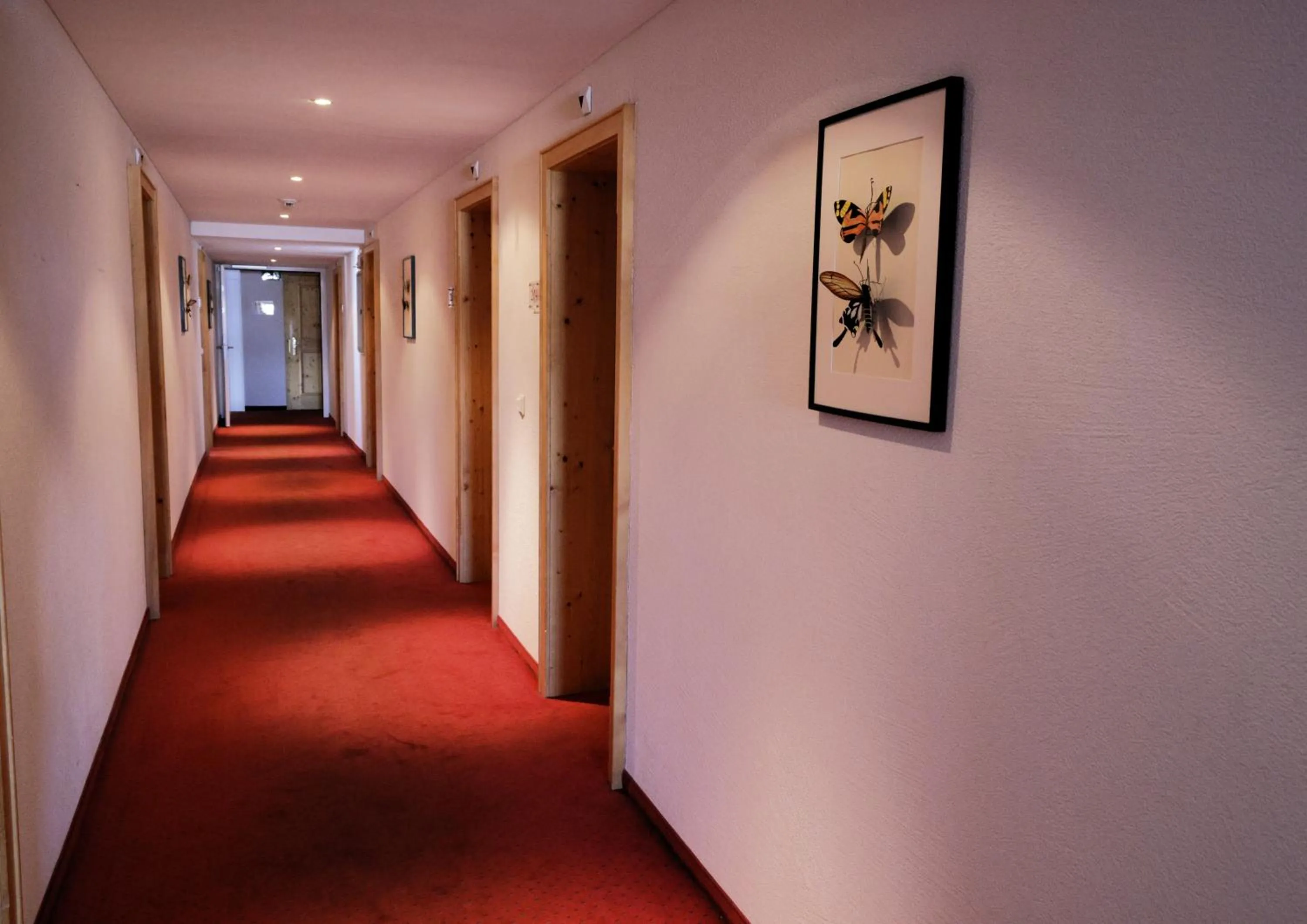 Property logo or sign in Hotel Alpina Parpan