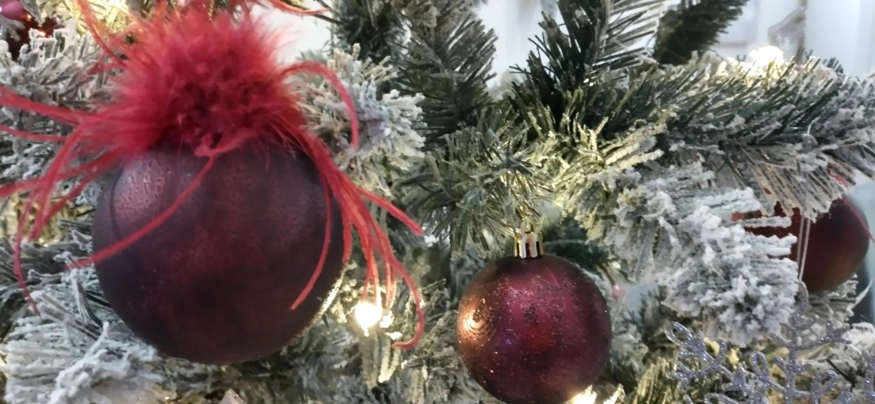 Restaurant/places to eat in Victoria Family Hotel