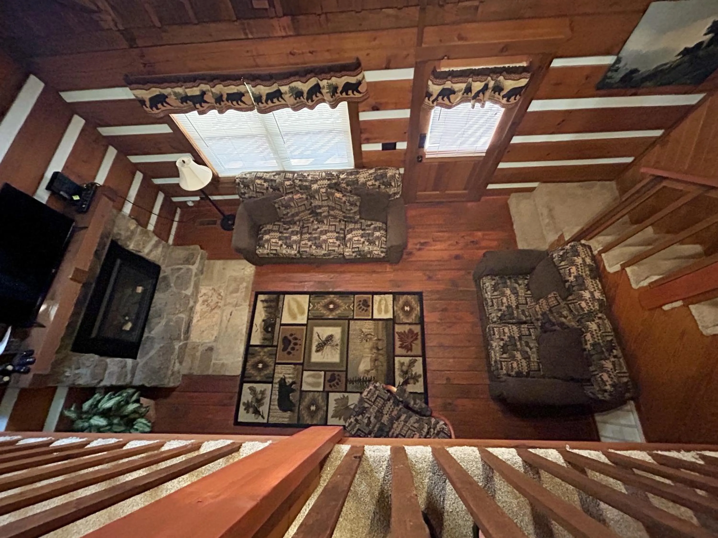 TV and multimedia in Emerald Woods