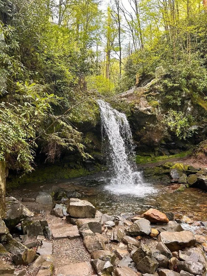 Hiking in Emerald Woods