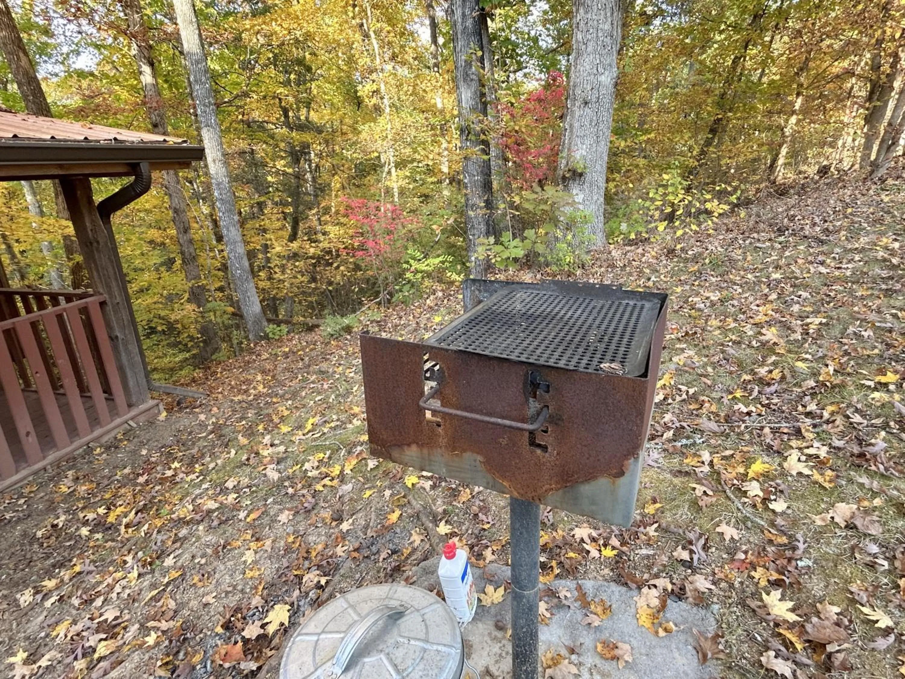 Natural landscape in Emerald Woods