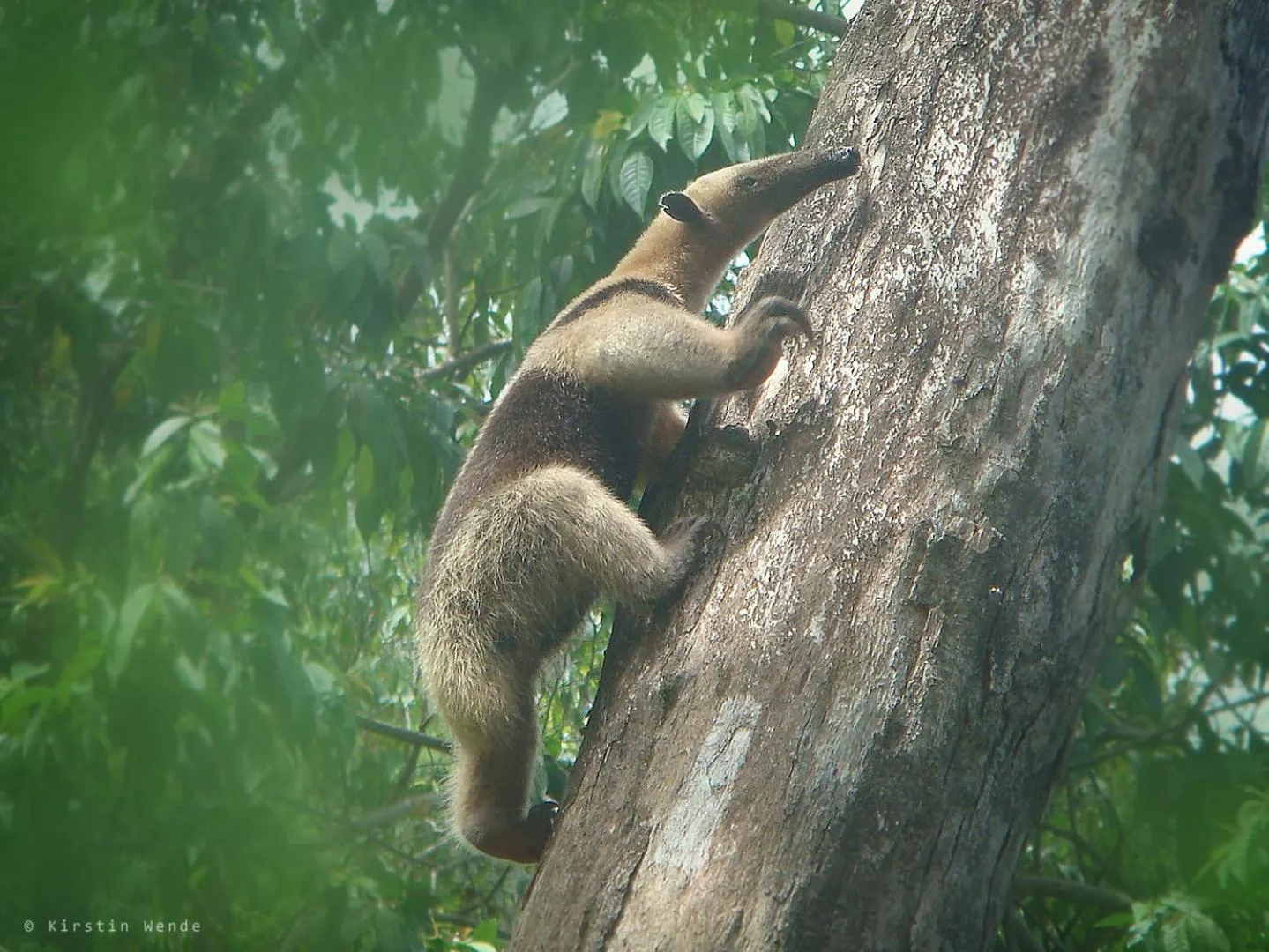 Property building in The Sunset Tucano Lodge