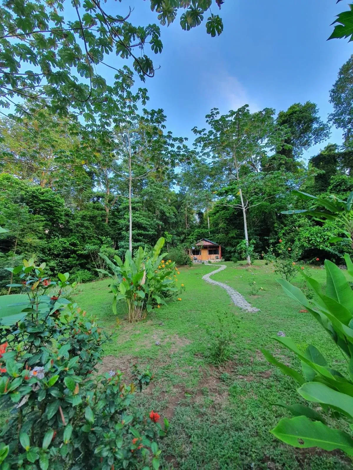 Garden in The Sunset Tucano Lodge